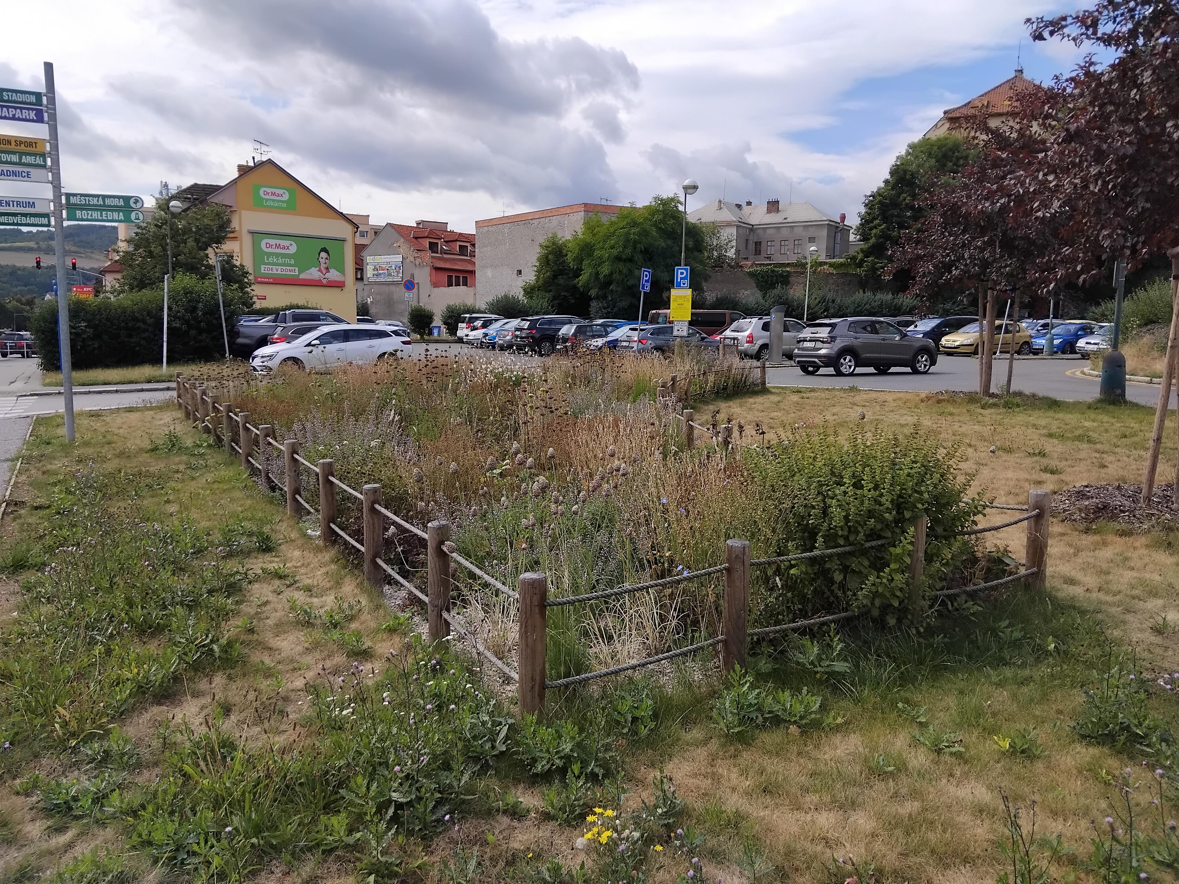 Medicentrum Beroun, a.s. foto 3