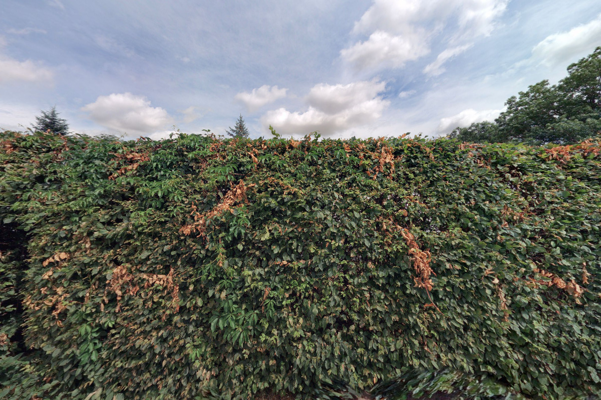 Zahradnictví Loucký