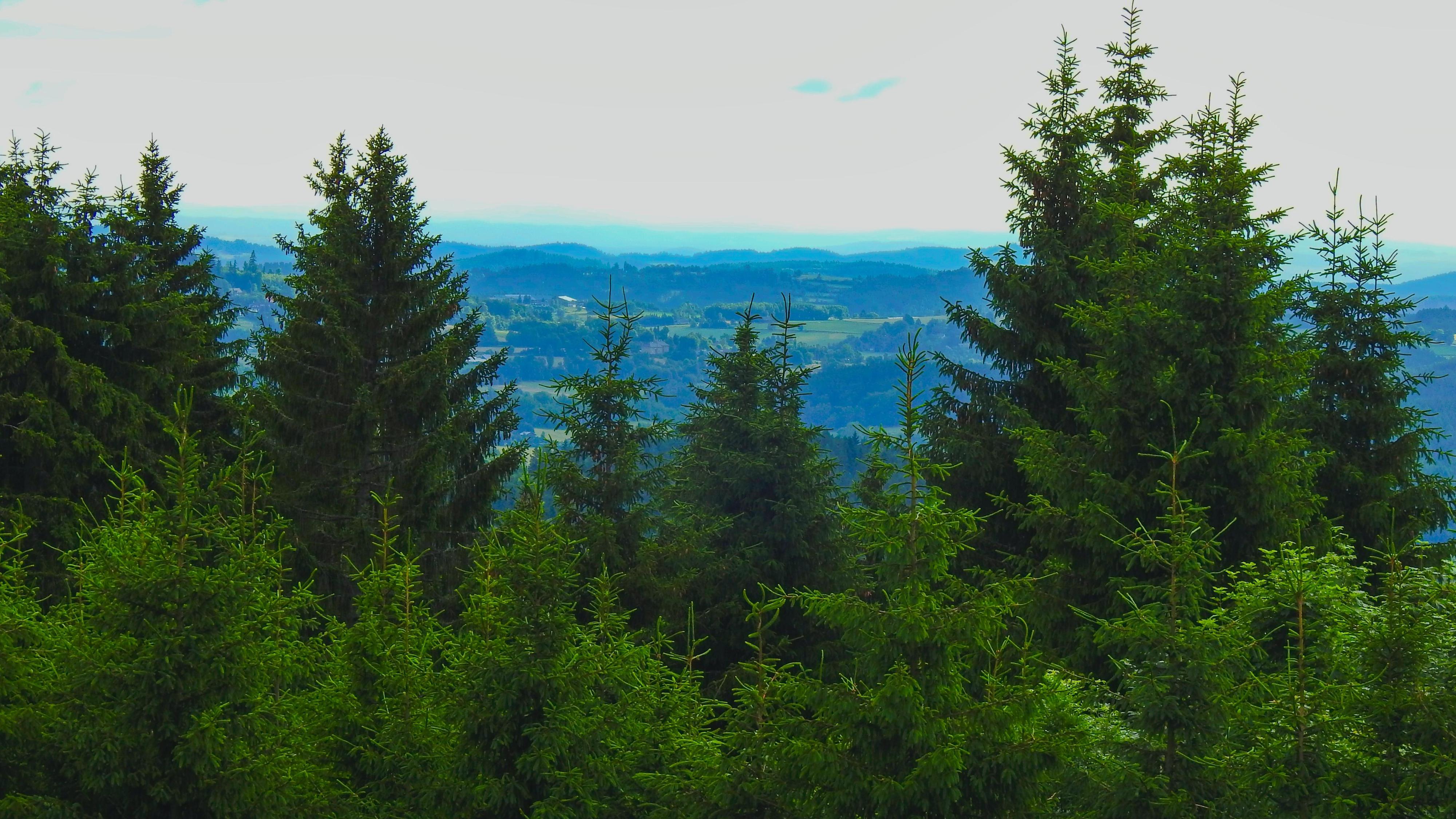Horská chata U Lanovky foto 4