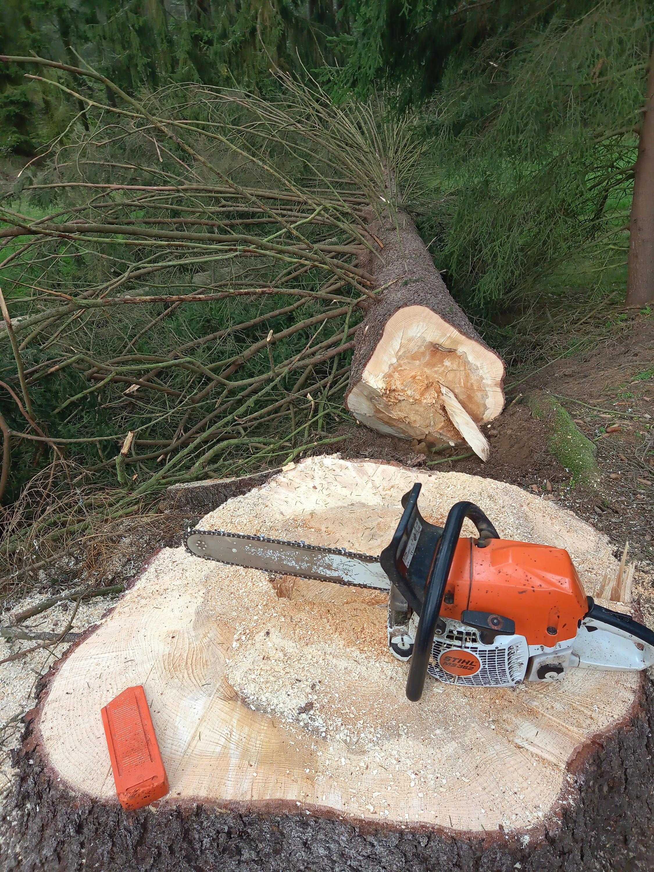 Anděl kácí stromy foto 6