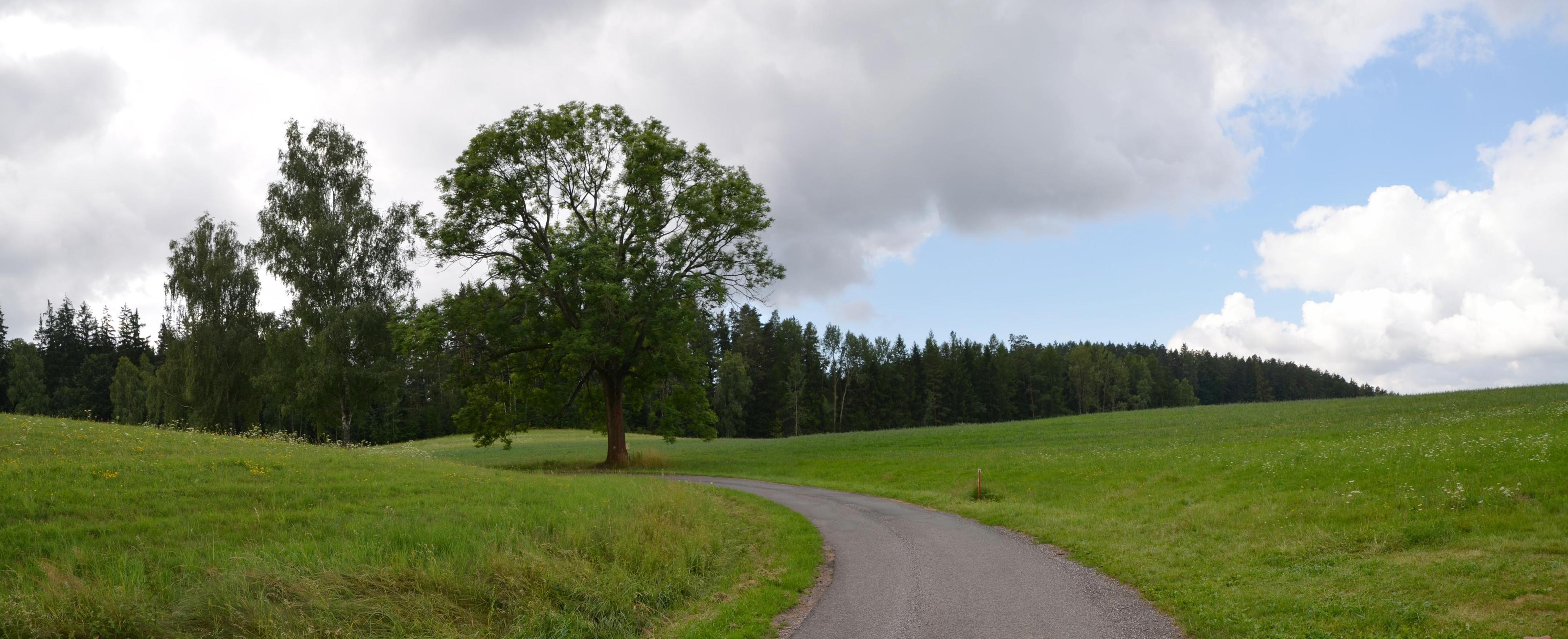 Hřebčín Siana foto 4