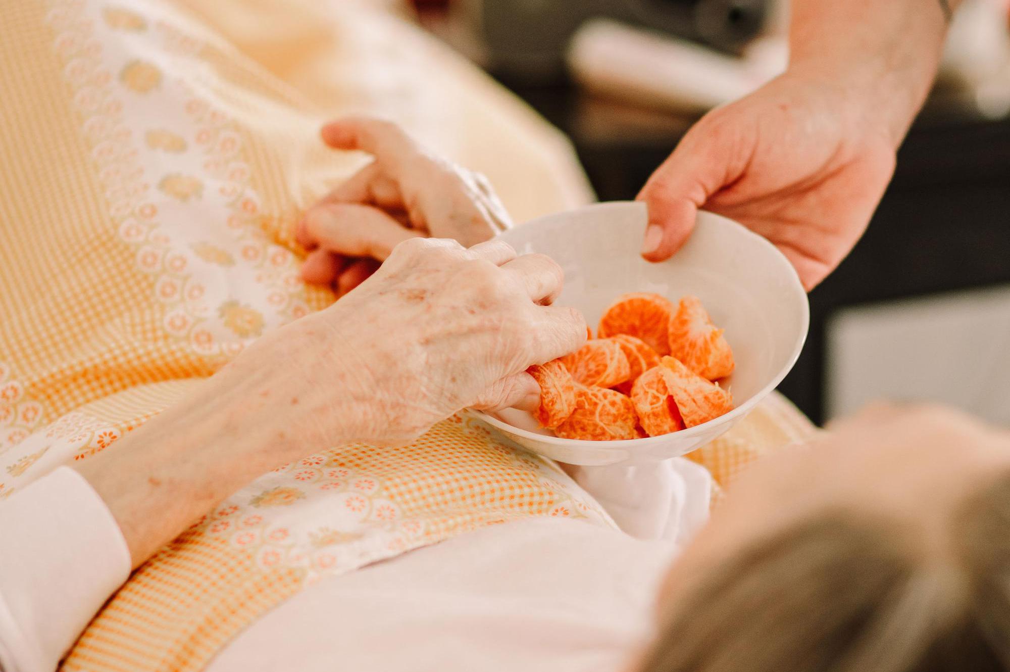 ARCHA Borovany, o.p.s.