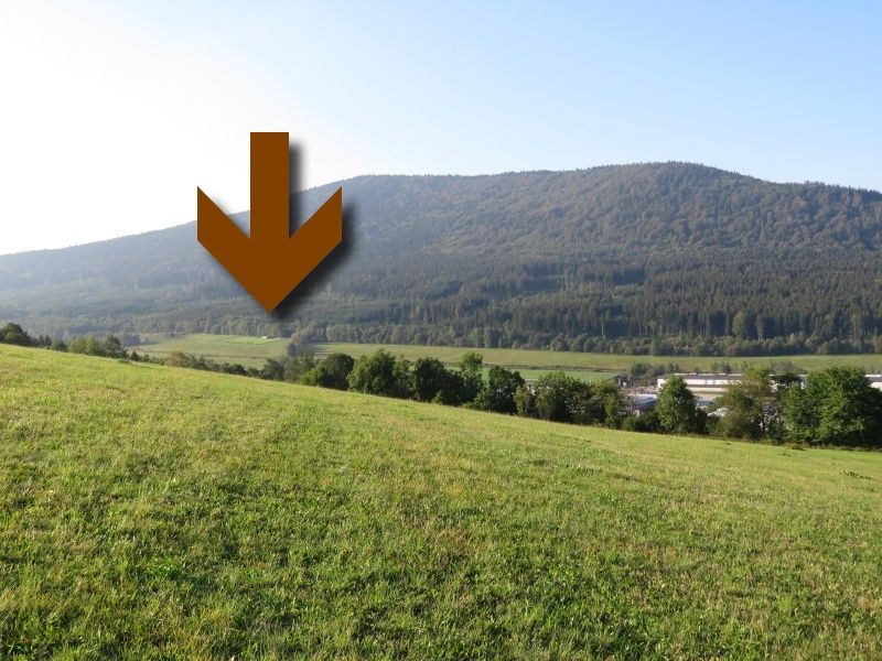 Základní kynologická organizace Prachatice foto 3