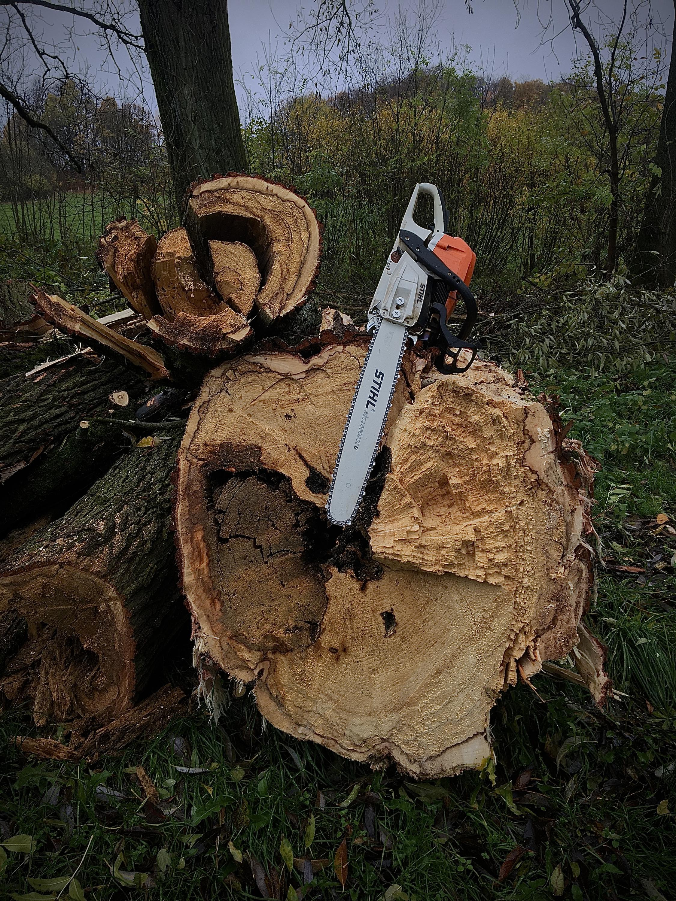 Tree buster foto 3