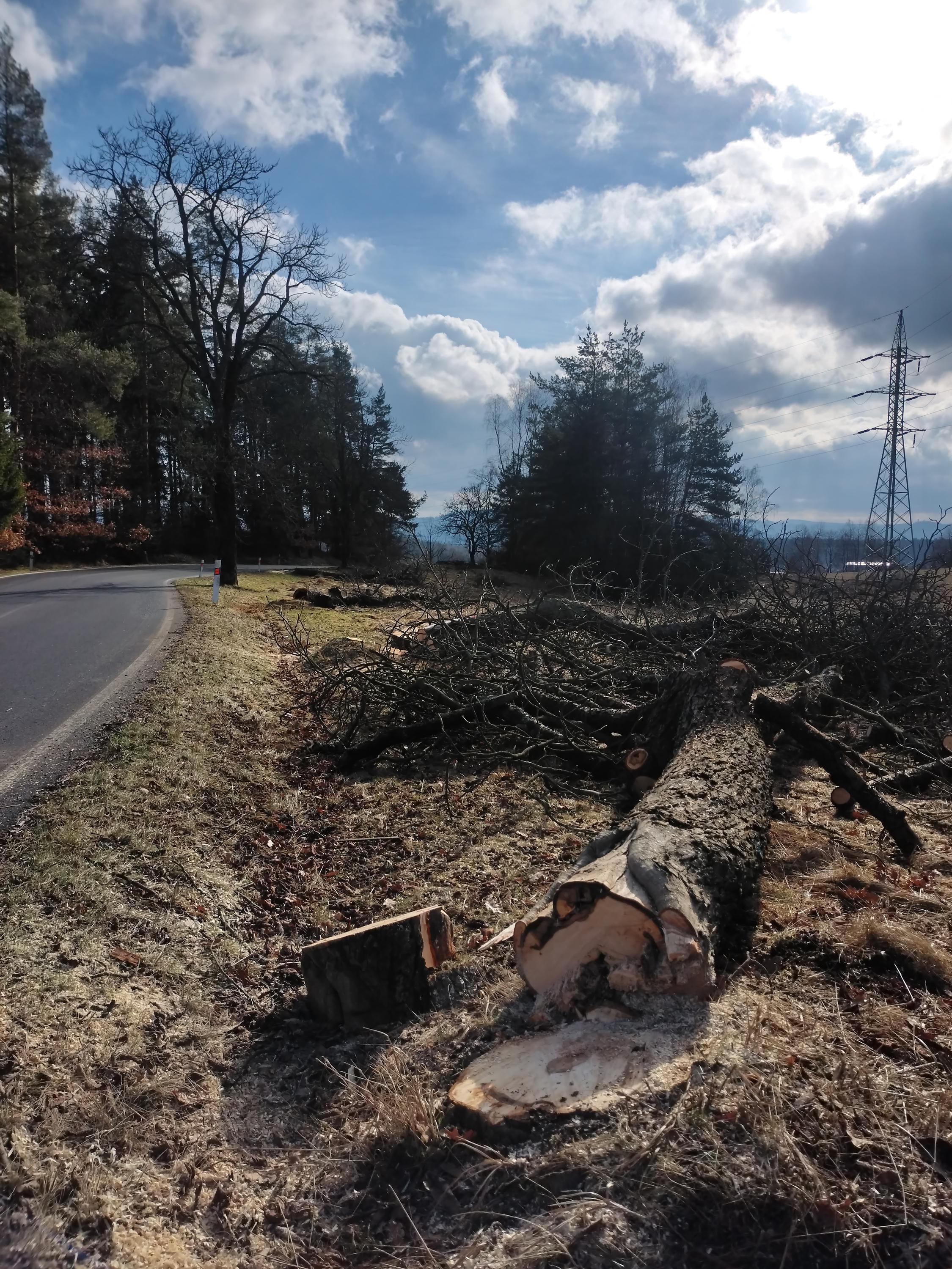 Anděl kácí stromy foto 3