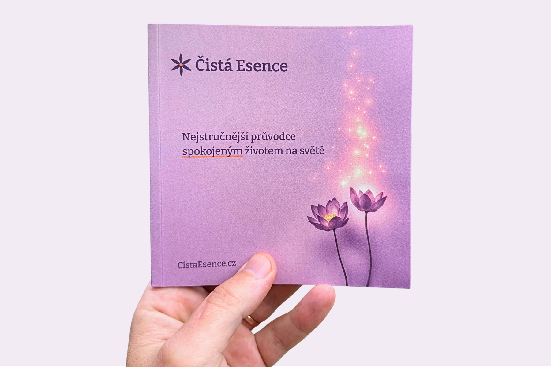 Nejstručnější průvodce spokojeným životem na světě