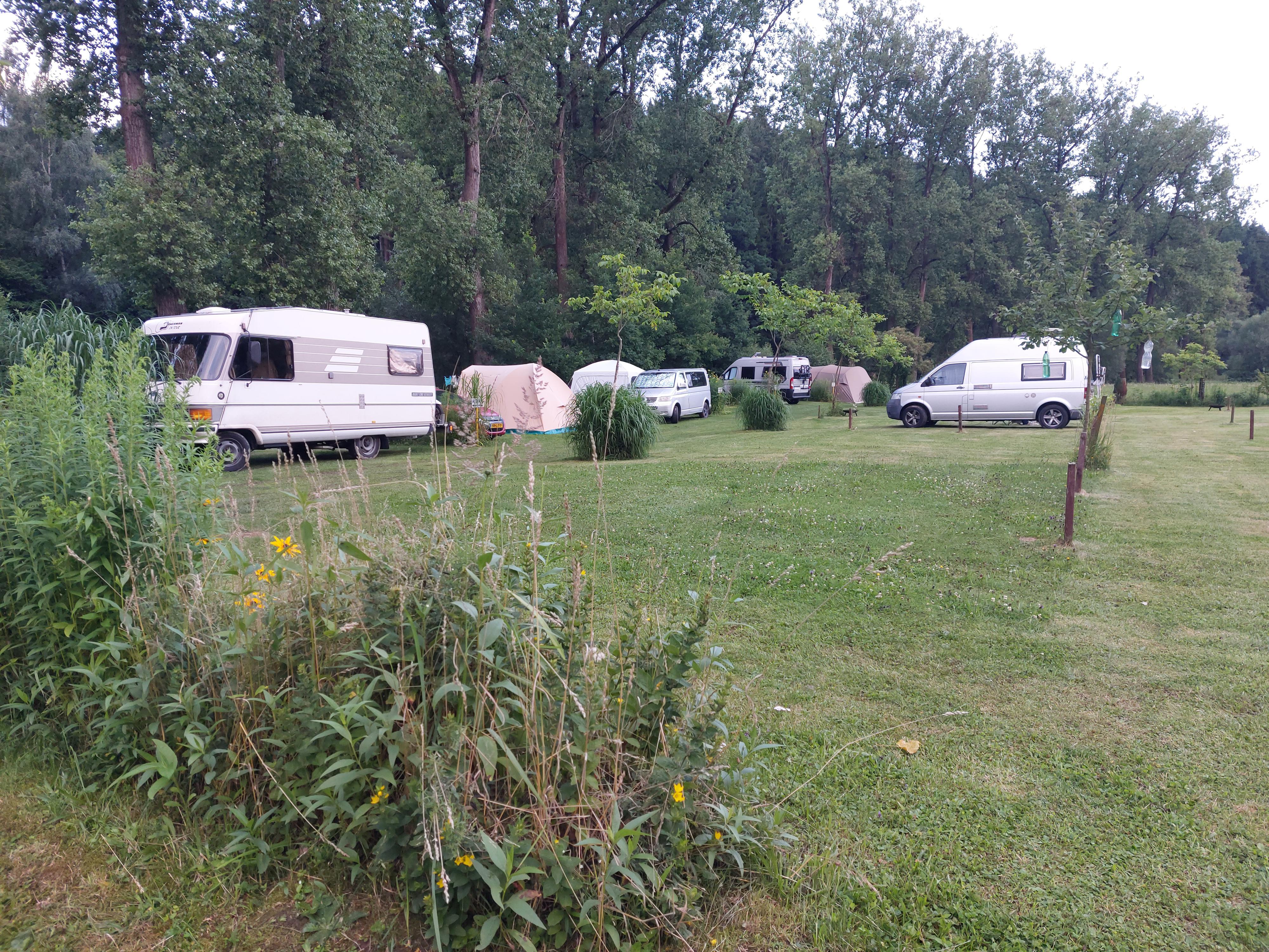 Camping Paradijs foto 4