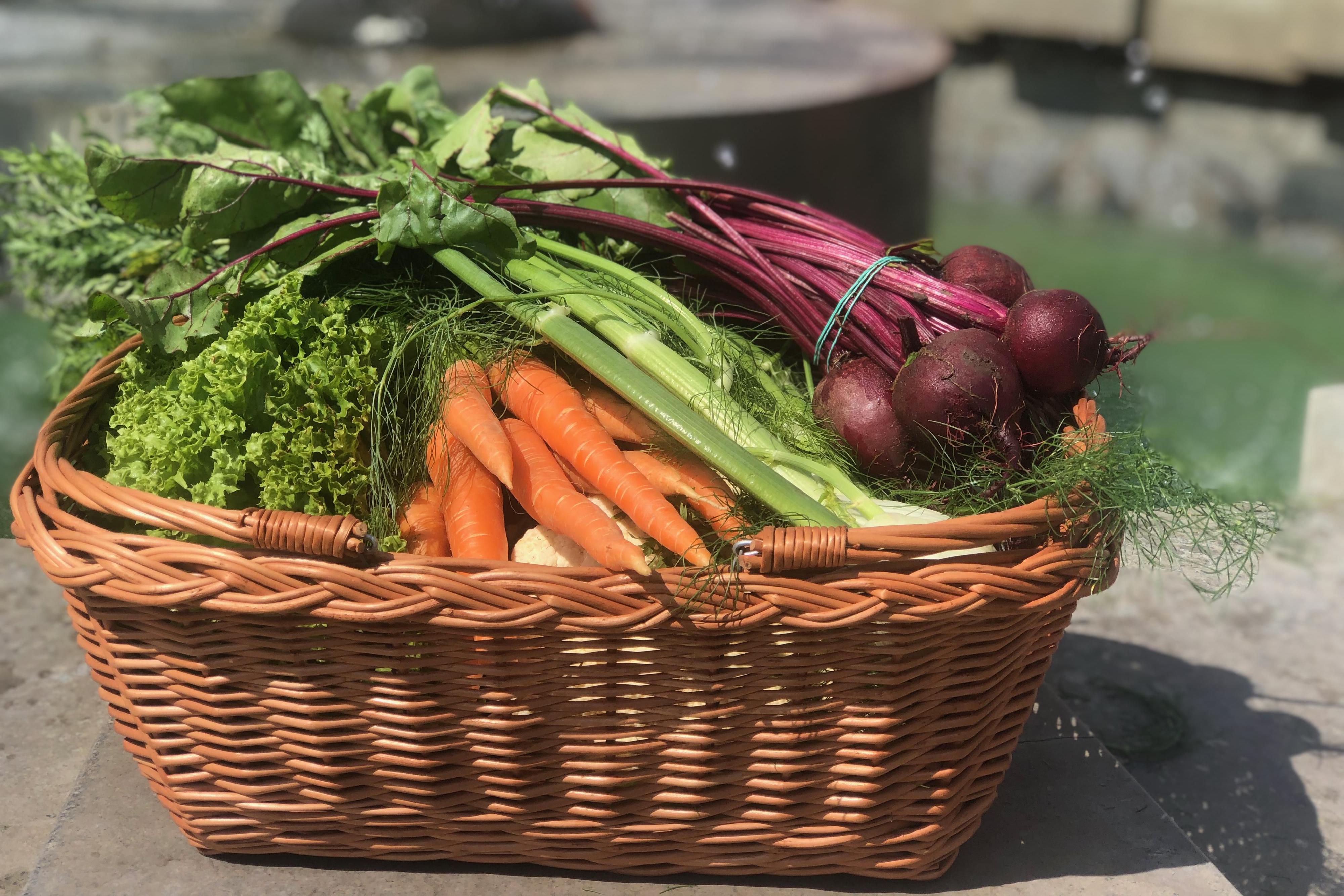 Farmářský trh Kubáň