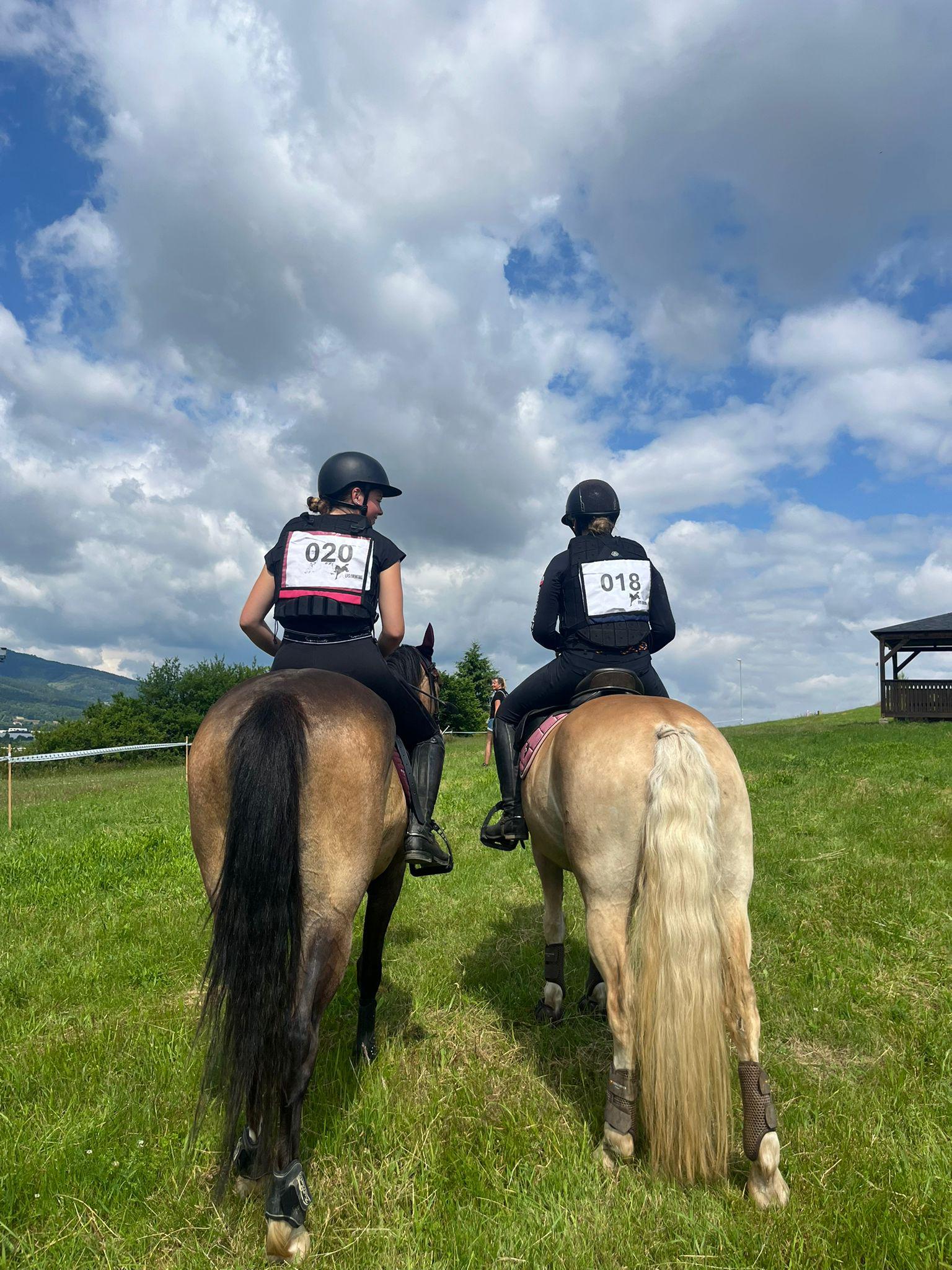 Pink Dressage Zmrzlík foto 6