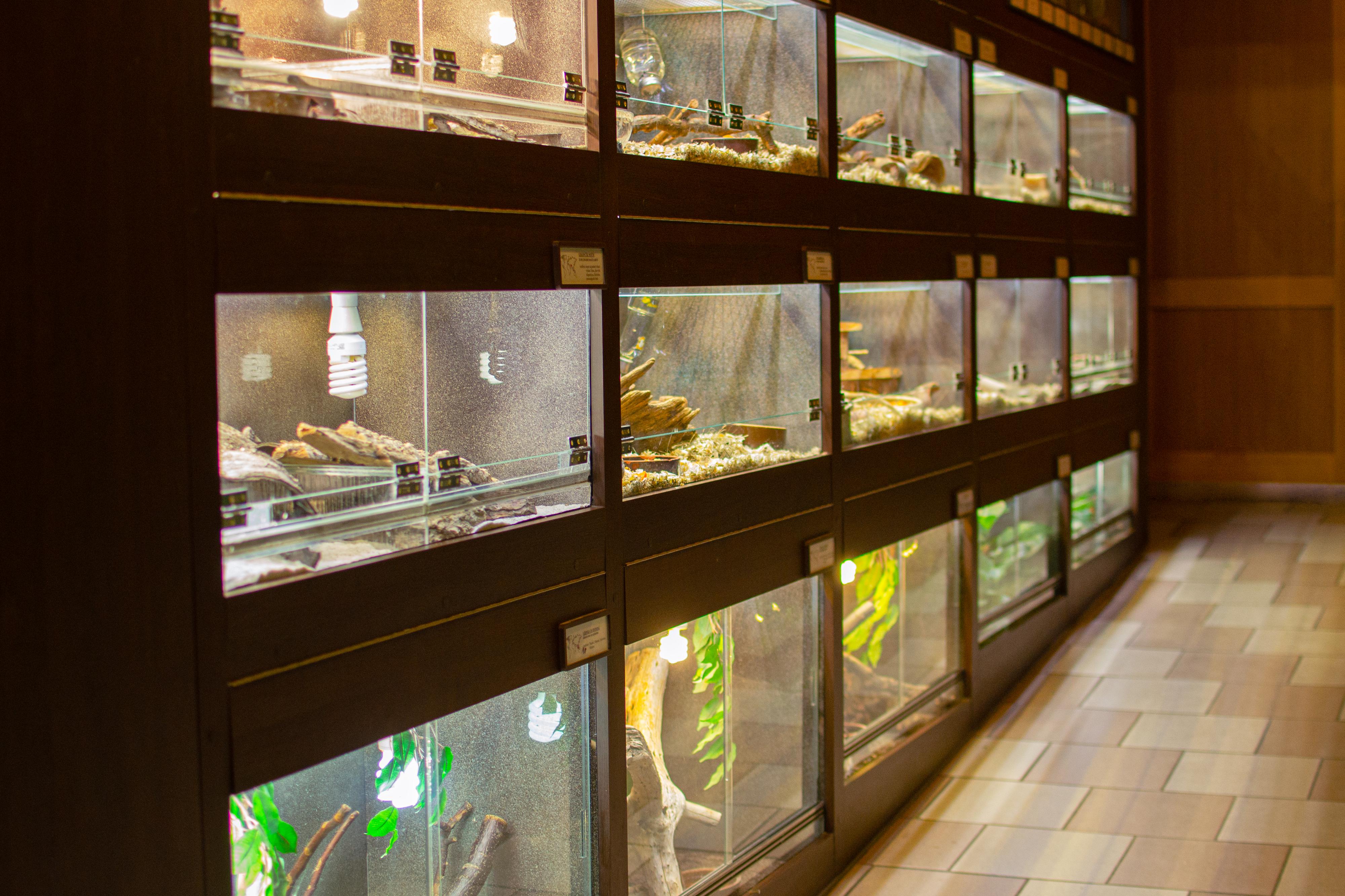 Dům dětí a mládeže, Přírodovědné centrum foto 2