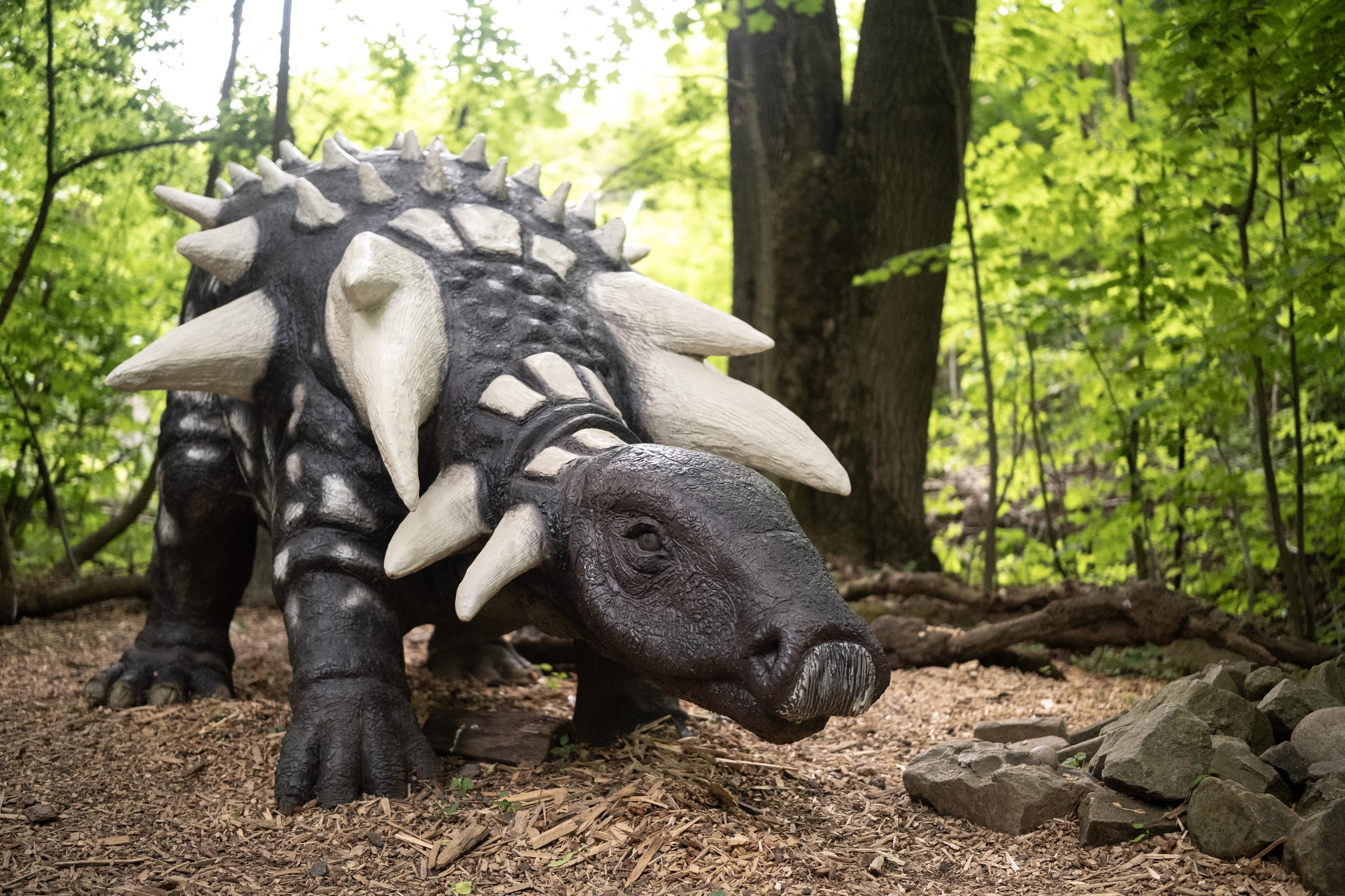 DinoPark ZOO Vyškov foto 2