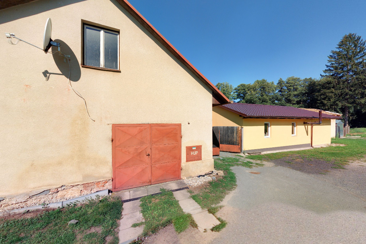 Galanterie Dragonfly foto 5