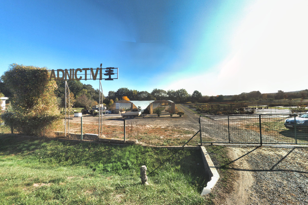 Kohoutek - zahradnické služby foto 5