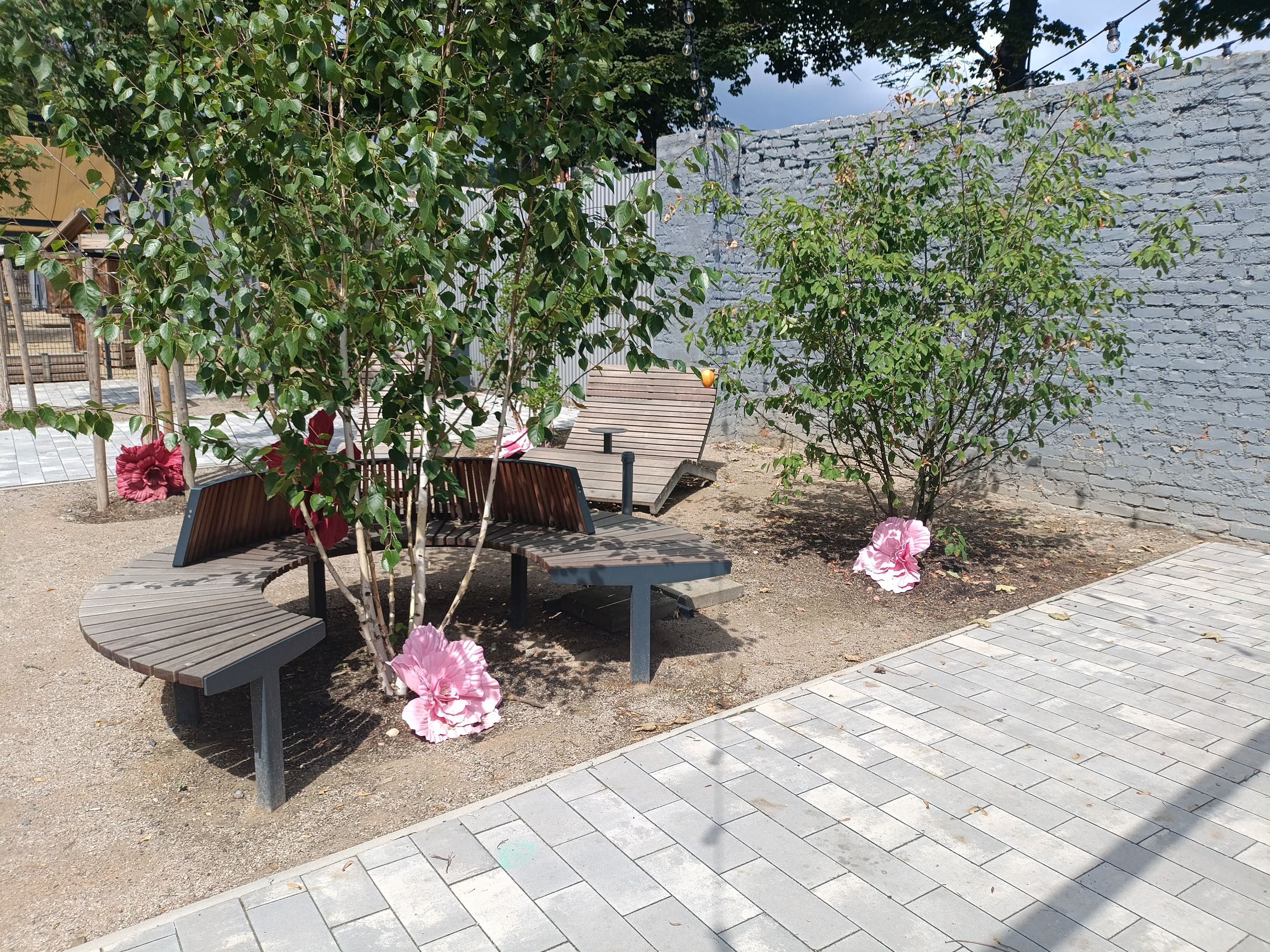 Dog in Dock Lihovar foto 4