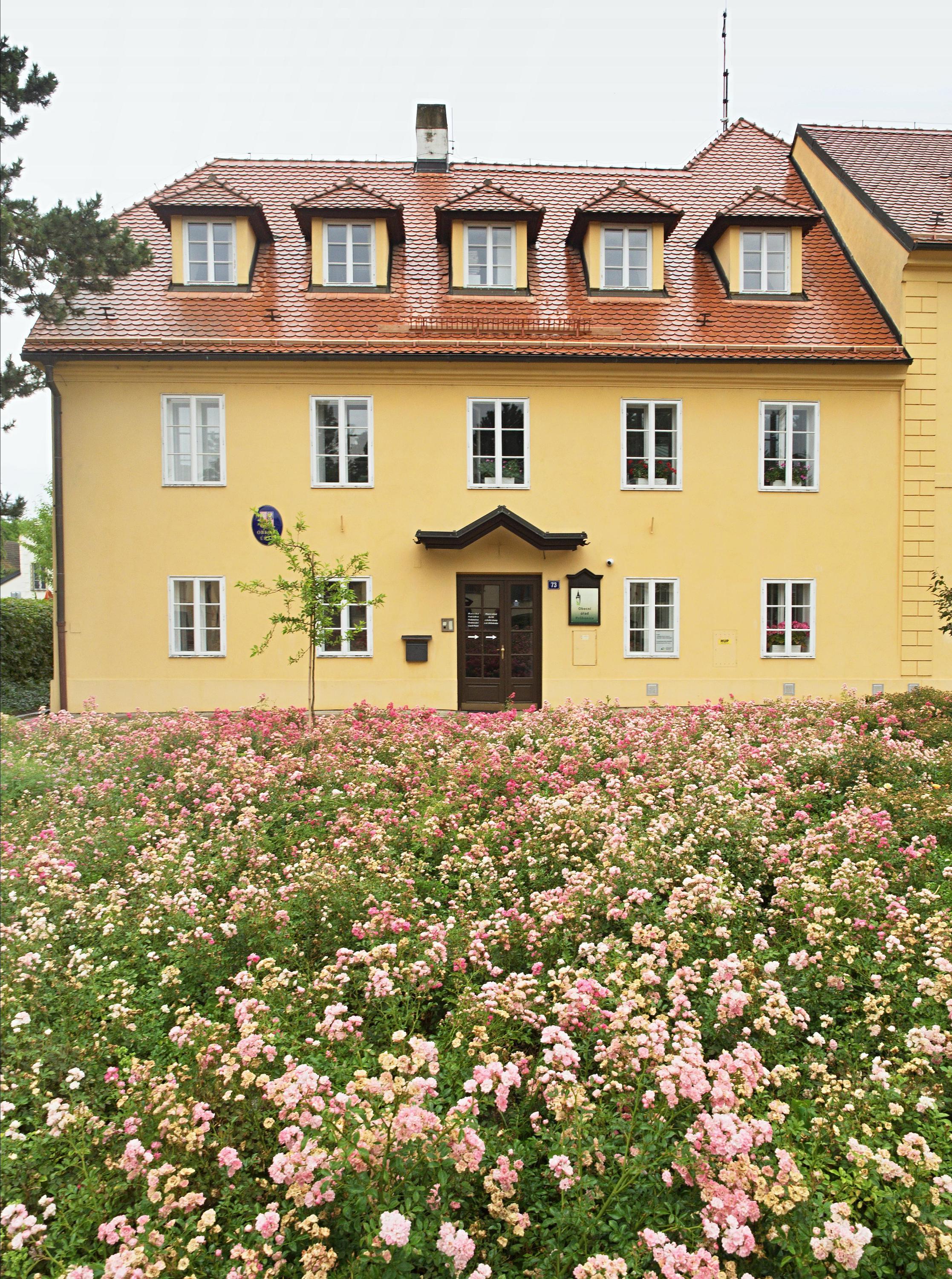 Průhonice - obecní úřad foto 6