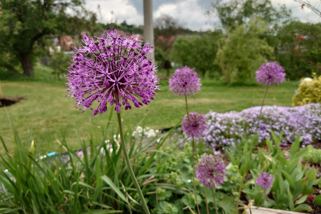 Zahrady v květu foto 3