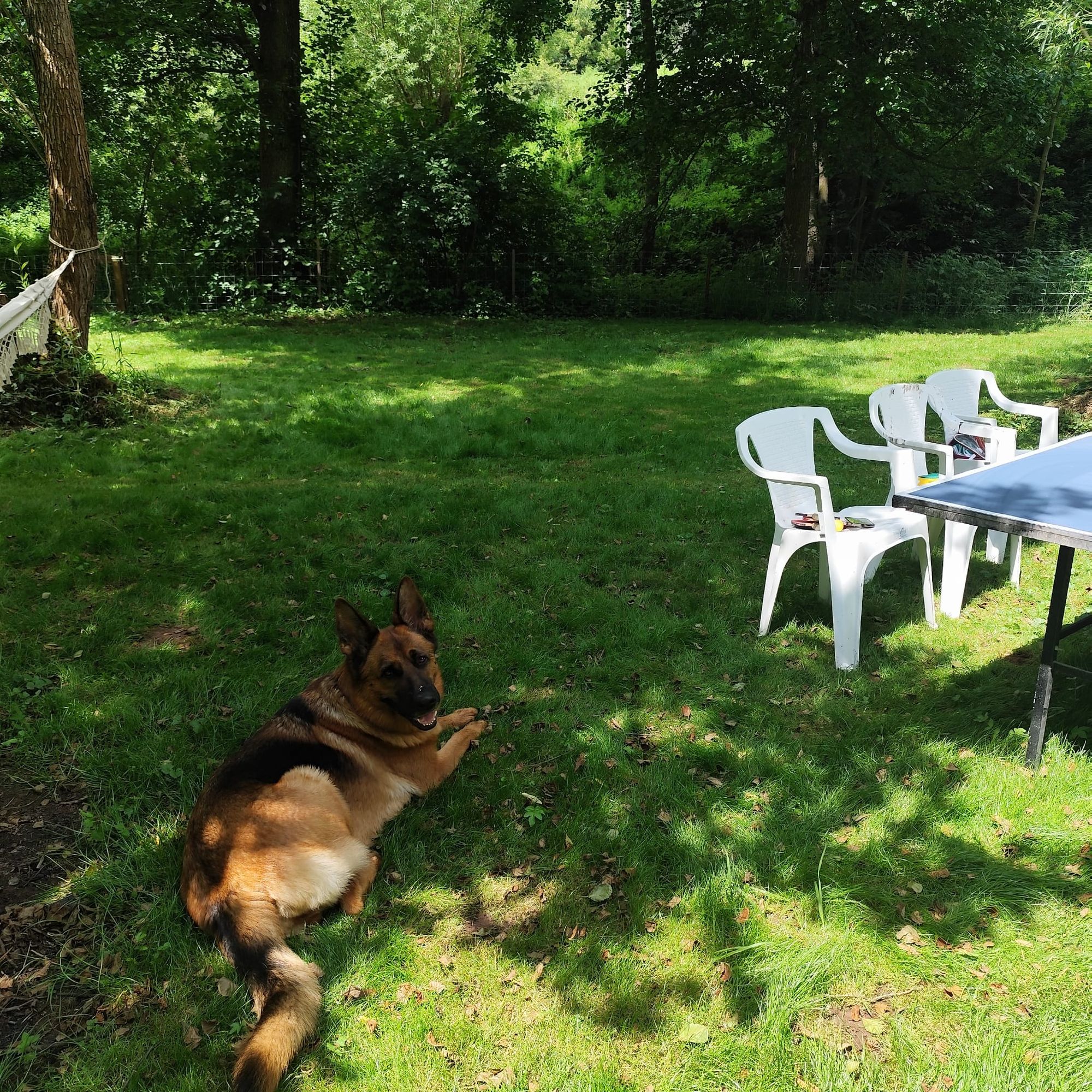 Stellplatz Chvaleč foto 3