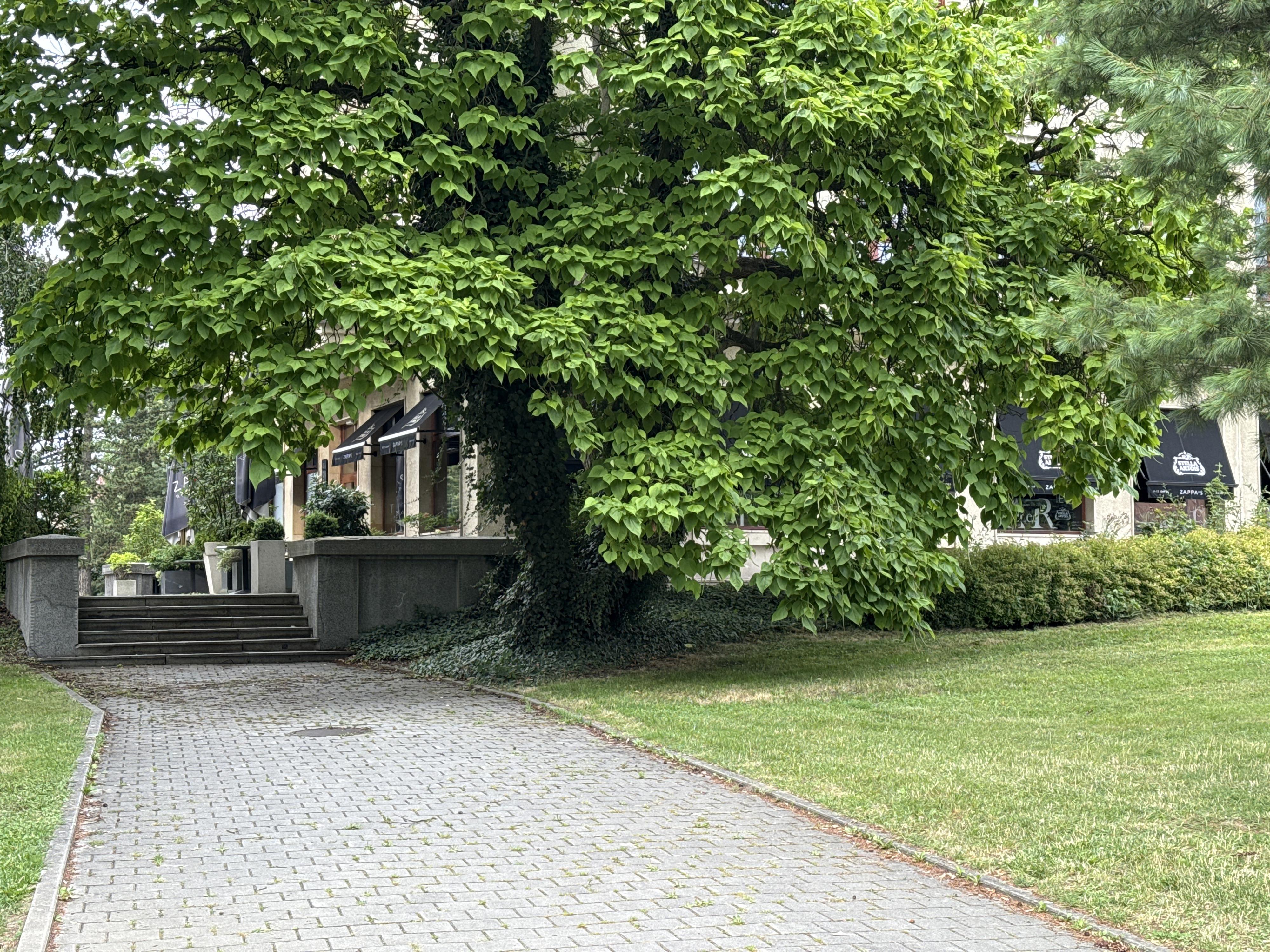 Zappa’s Restaurant Havířov foto 5