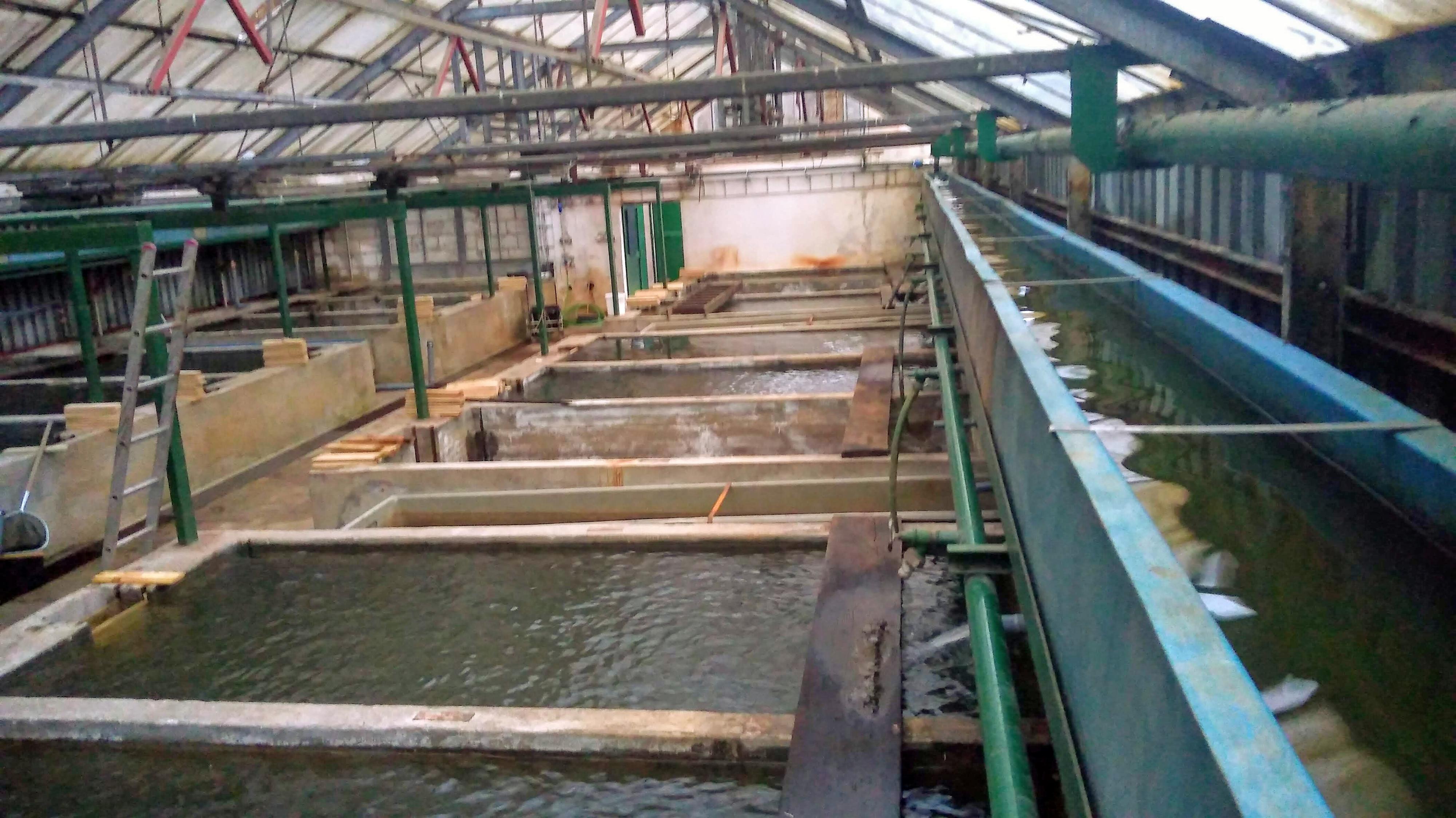 Sádky Hrádek - Roman Moulis foto 4