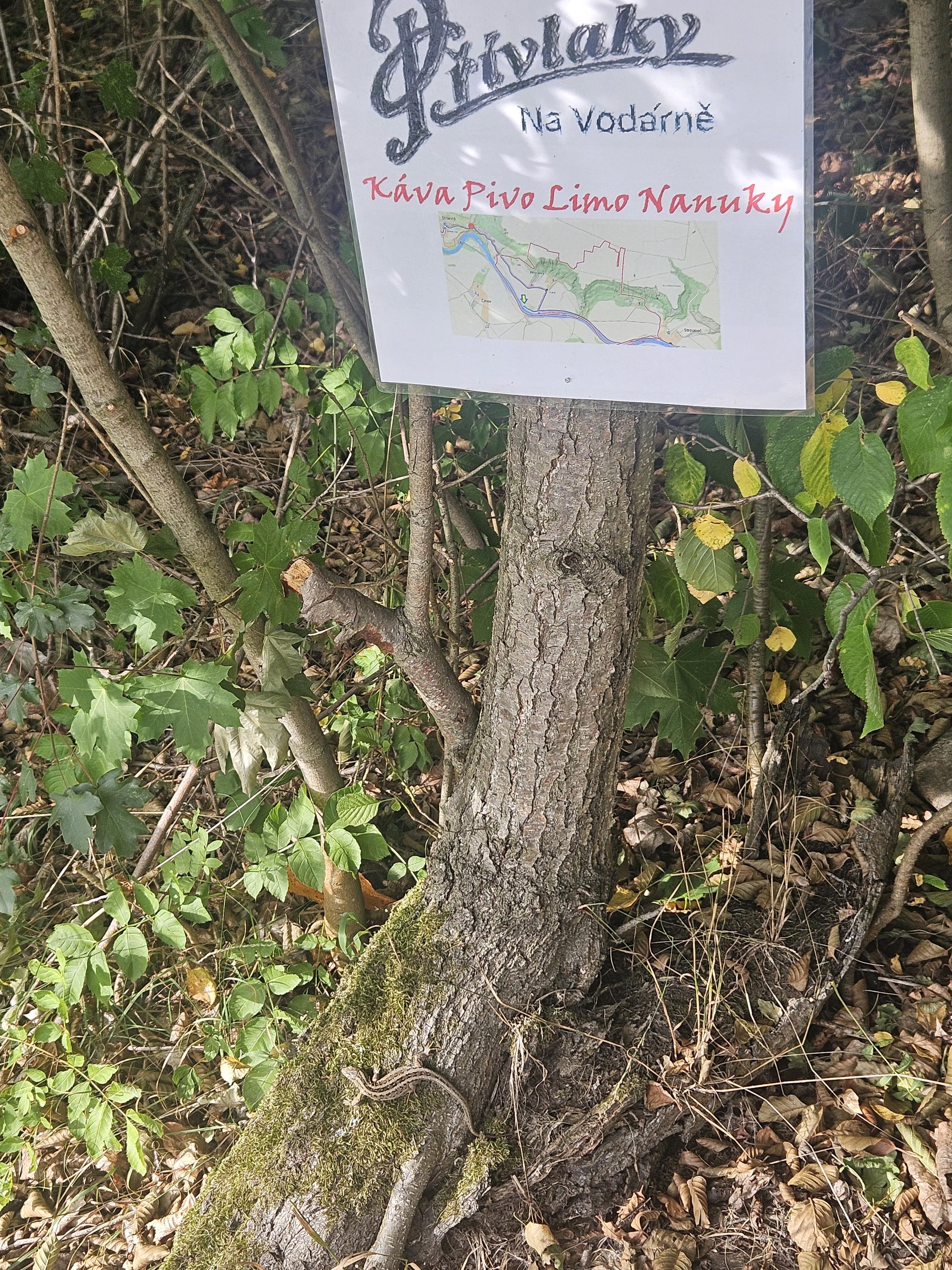 Přívlaky Na Vodárně foto 2