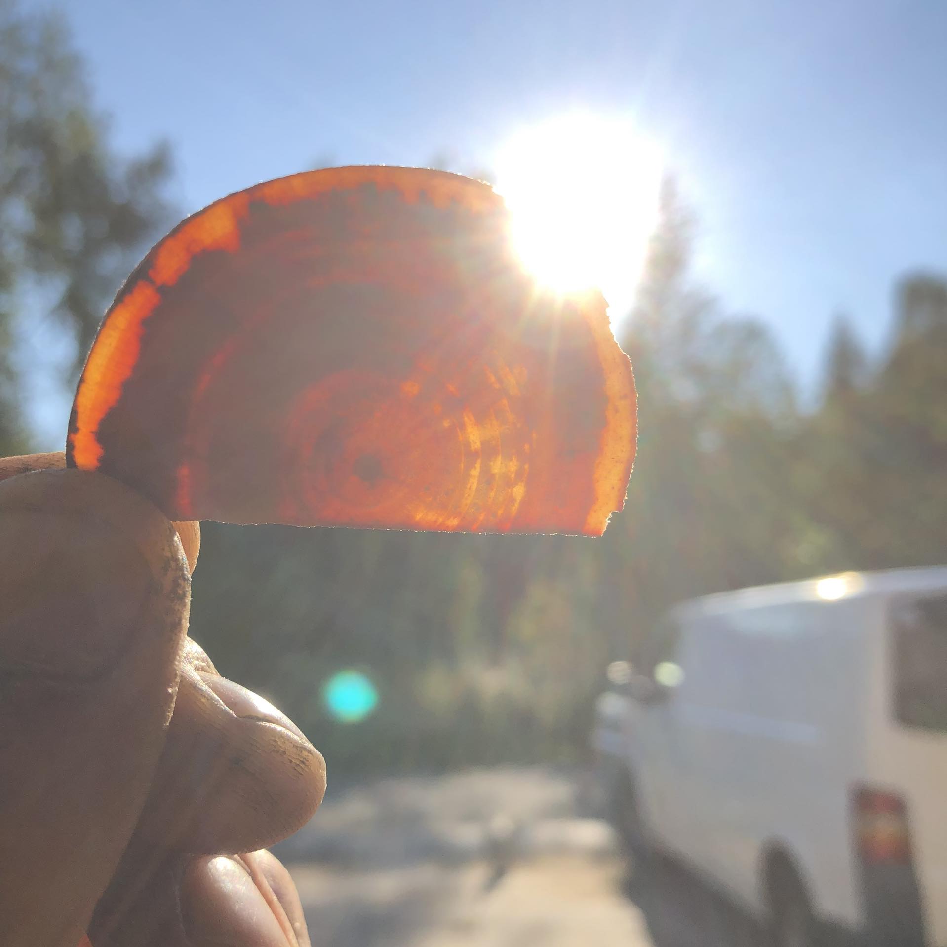 Pila Červený Potok - Michal Ceh foto 5