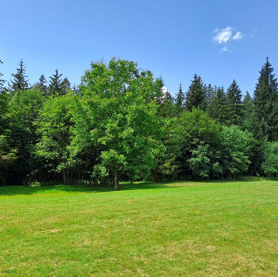 Bezkempu u chajdy pod Radhoštěm foto 3