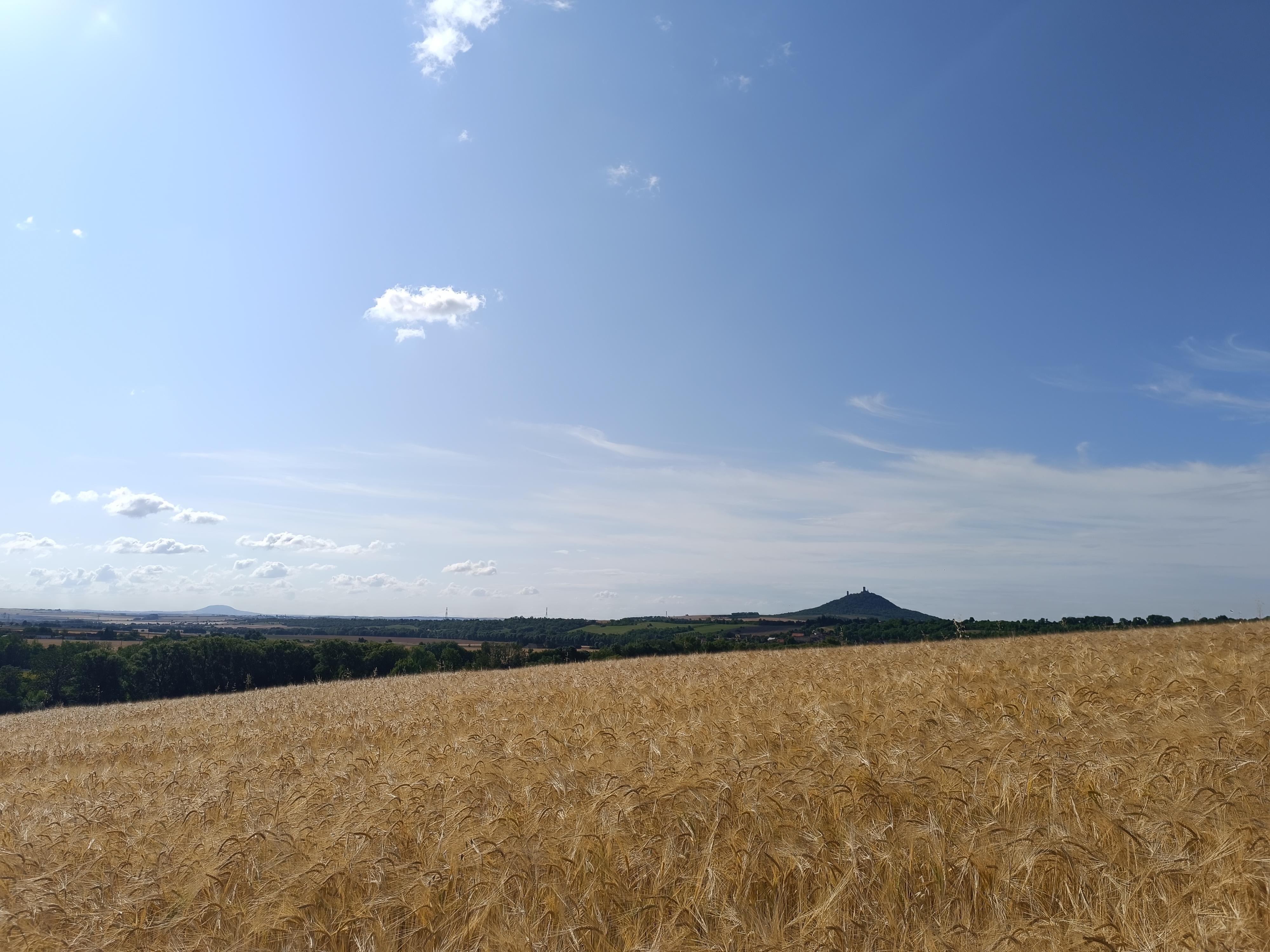 TERRA Kaplíř foto 5
