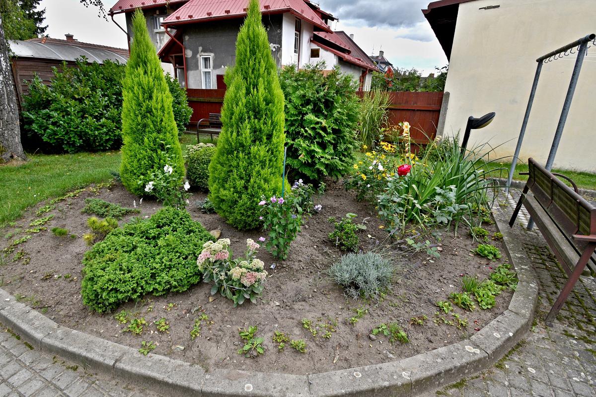 Pečovatelská služba města Mladá Boleslav foto 4