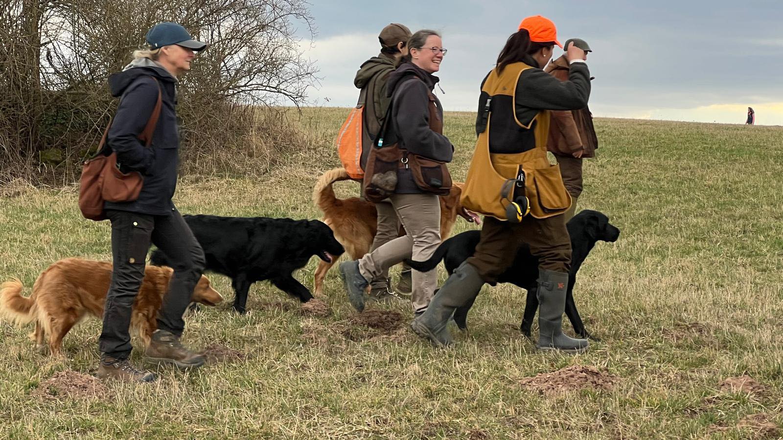 Wildberry Gundogs - Veronika Majerová foto 4