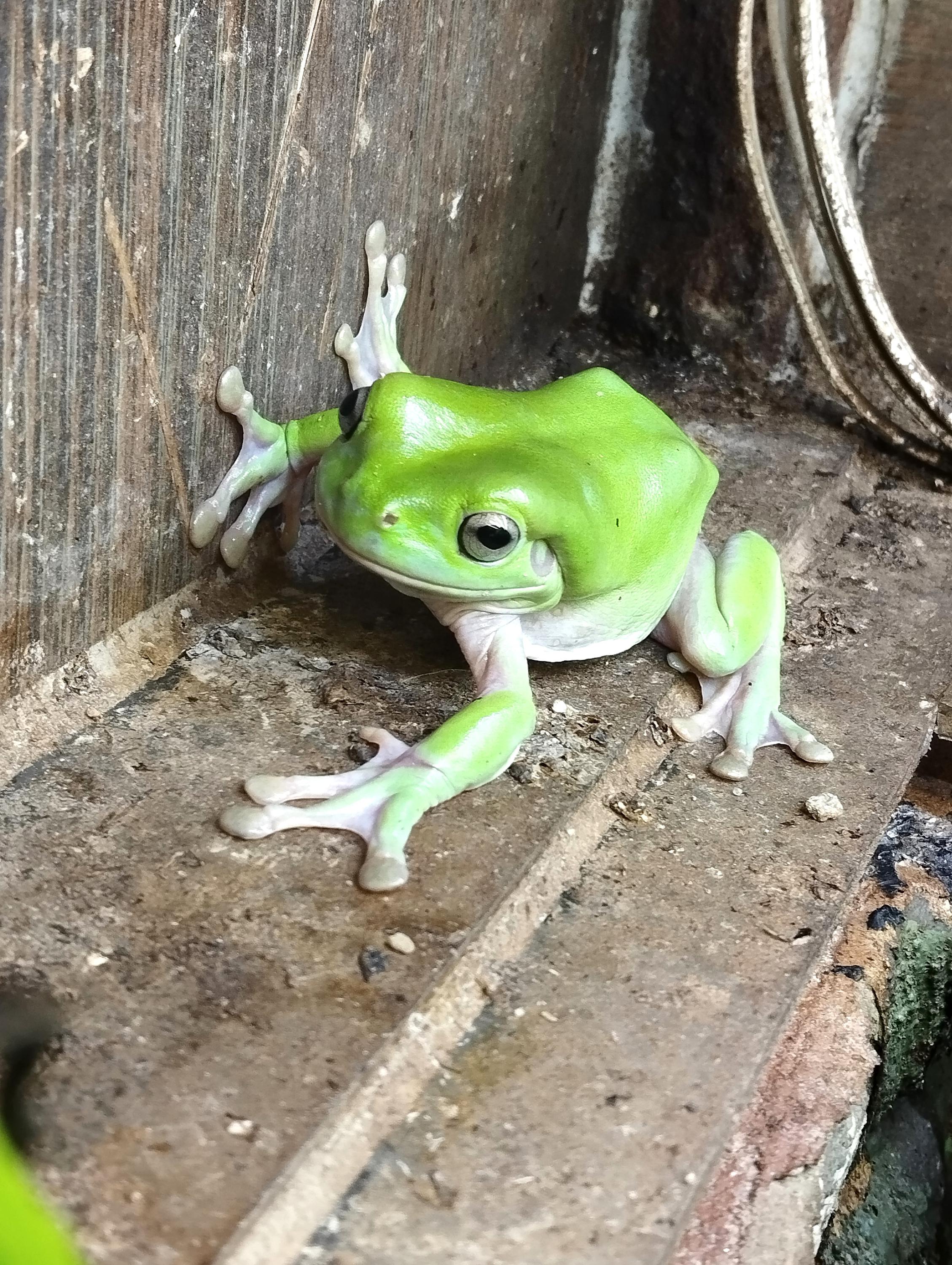 Dům dětí a mládeže, Přírodovědné centrum foto 4