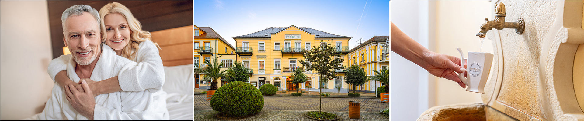 Úvodní obrázek Lázeňský hotel Goethe