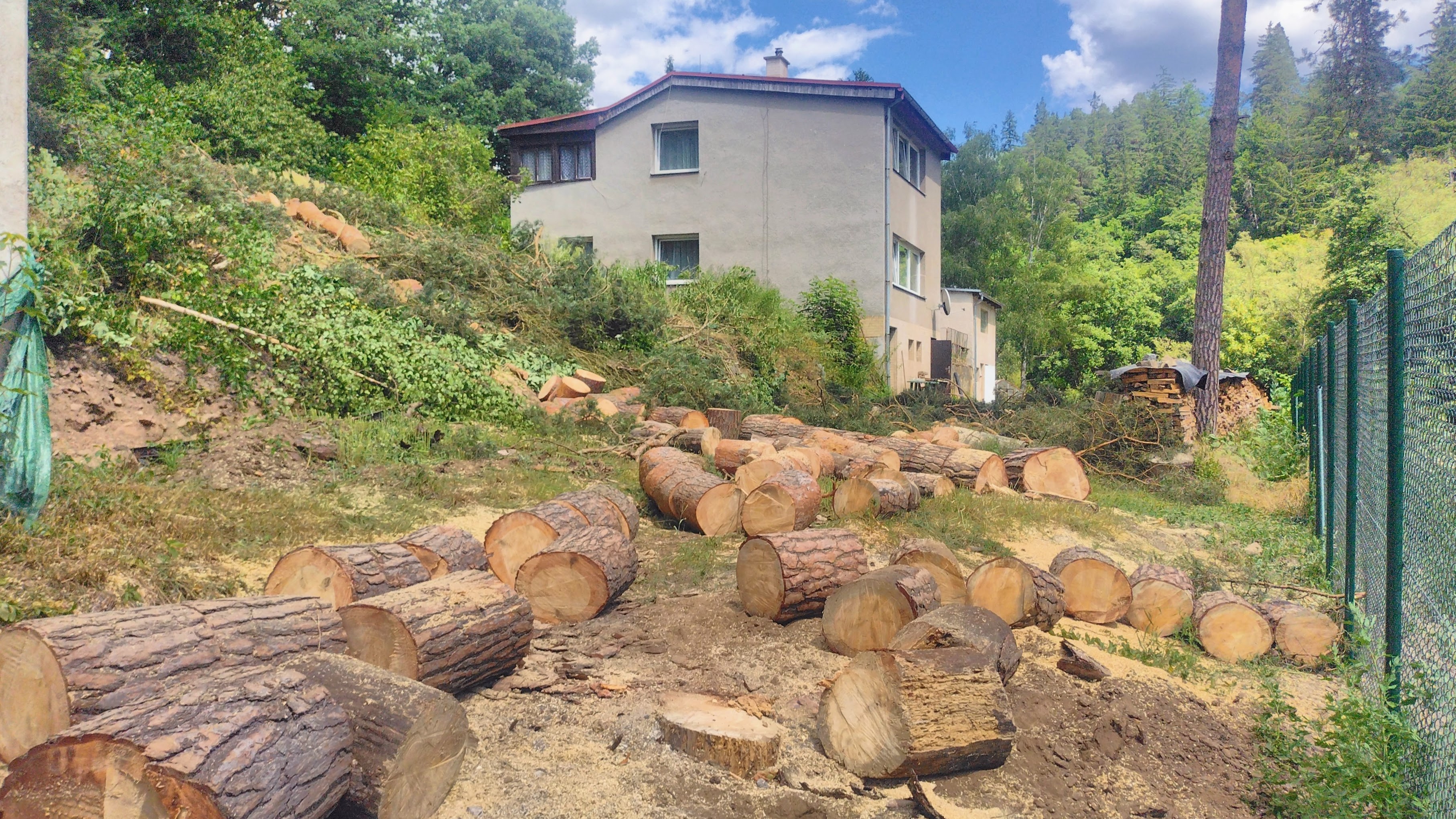 Bezpečné rizikové kácení stromů