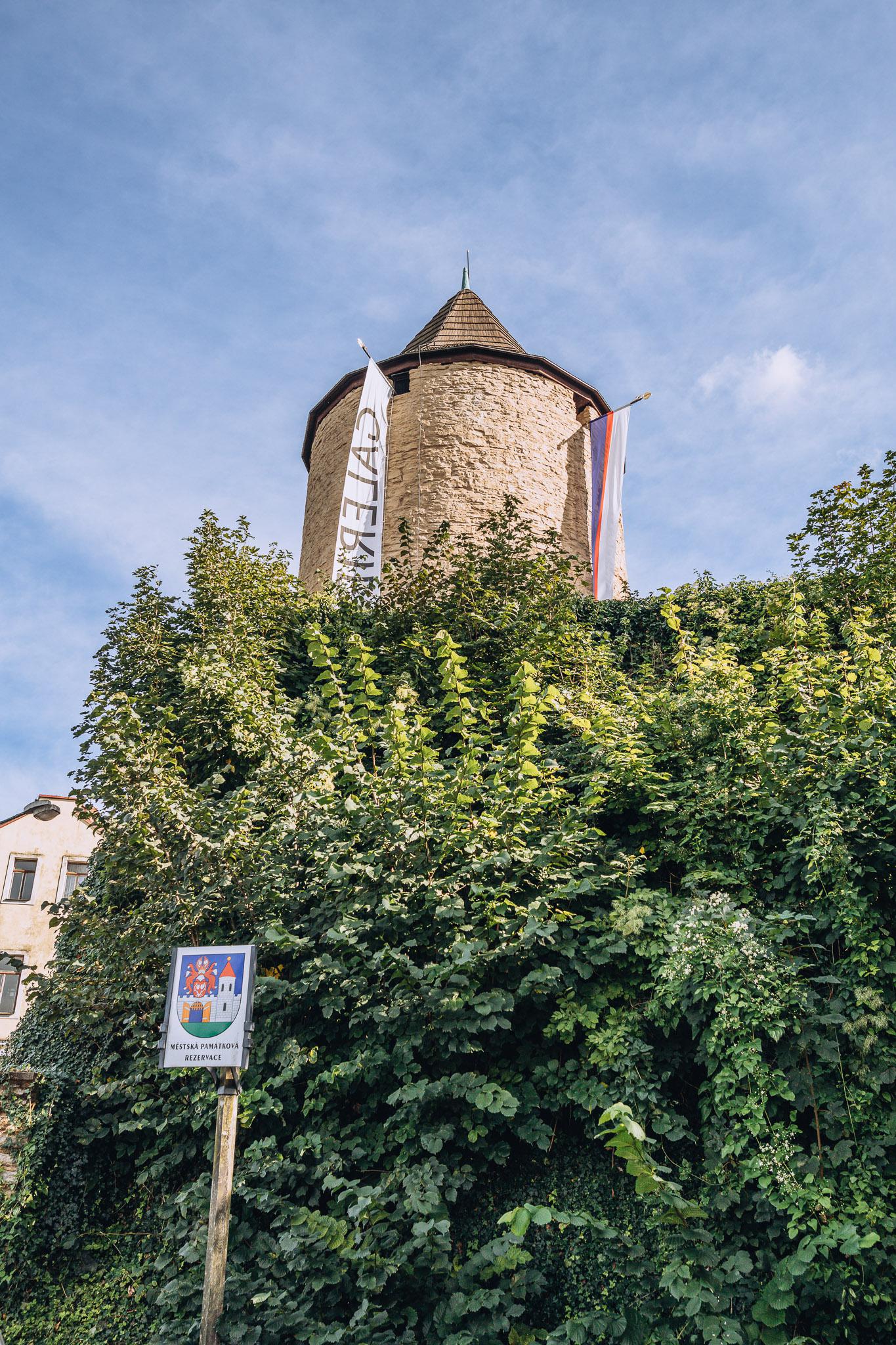 Galerie Zázvorka foto 5