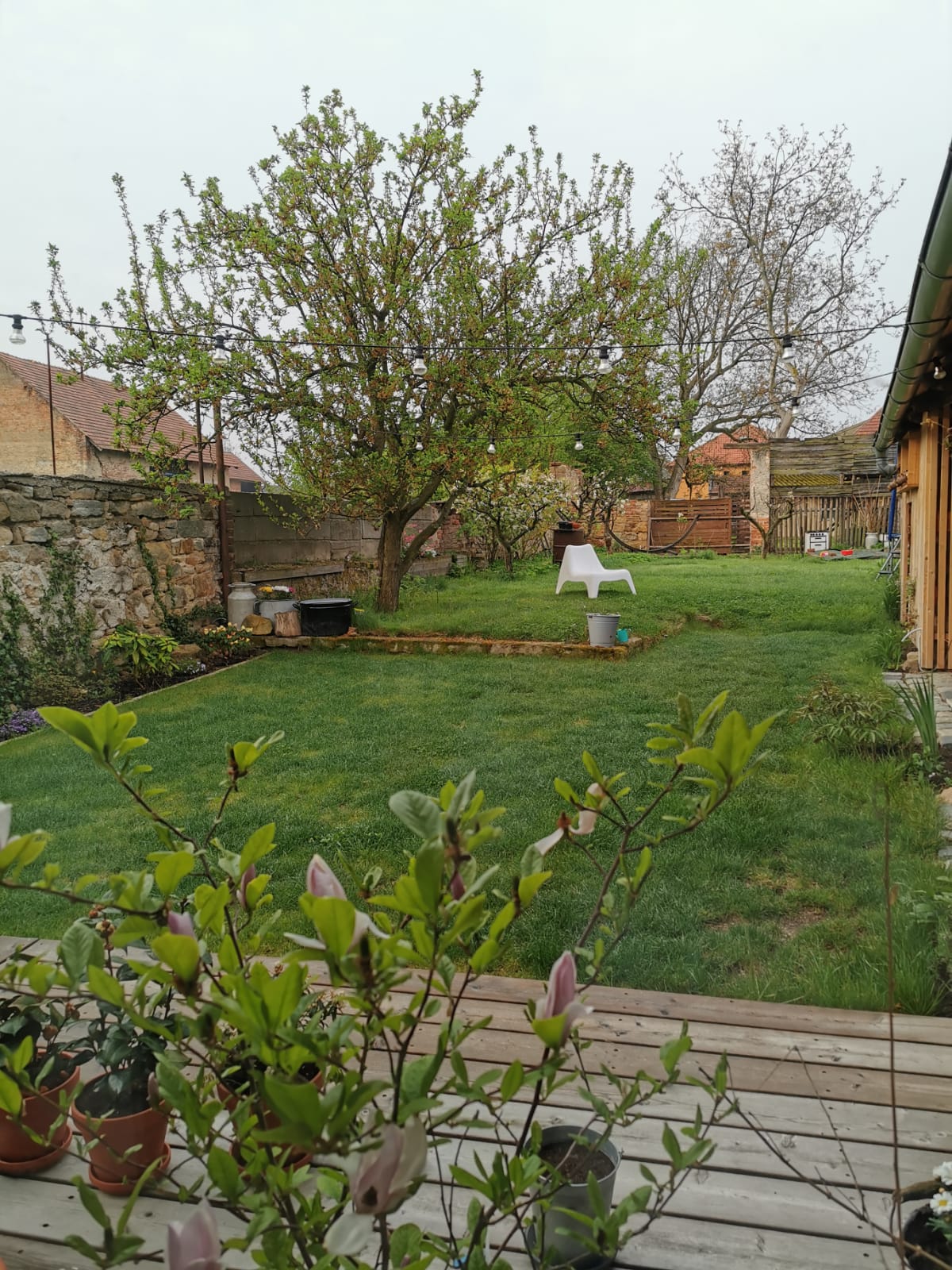 Kohoutek - zahradnické služby foto 4