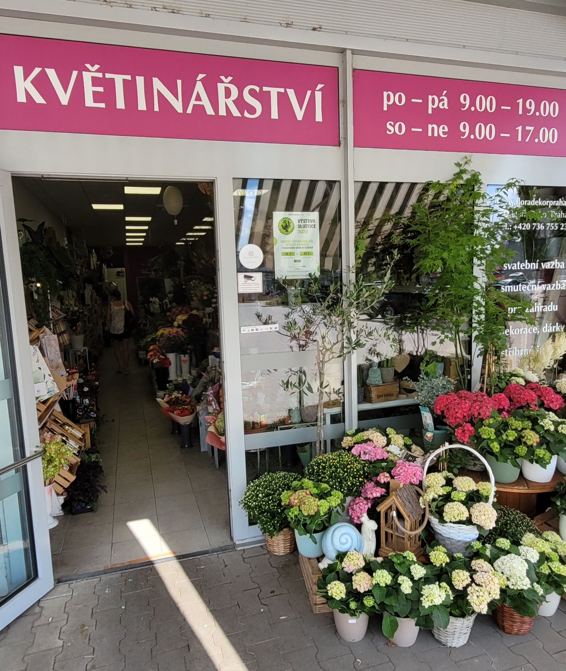 Hana Hanzlová – Flora Dekor foto 2