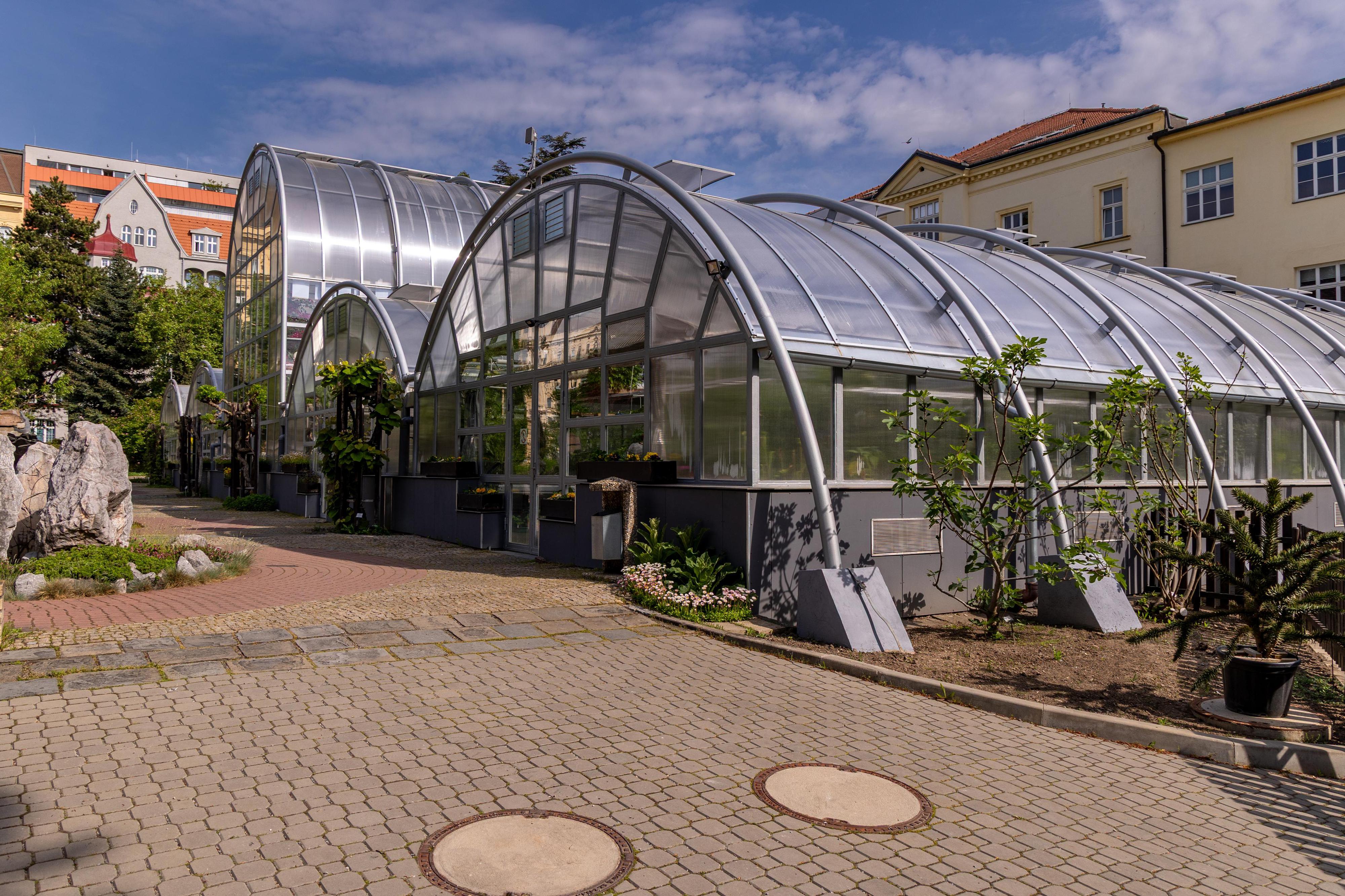 Botanická zahrada Přírodovědecké fakulty Masarykovy univerzity foto 3
