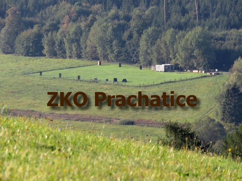 Základní kynologická organizace Prachatice foto 4