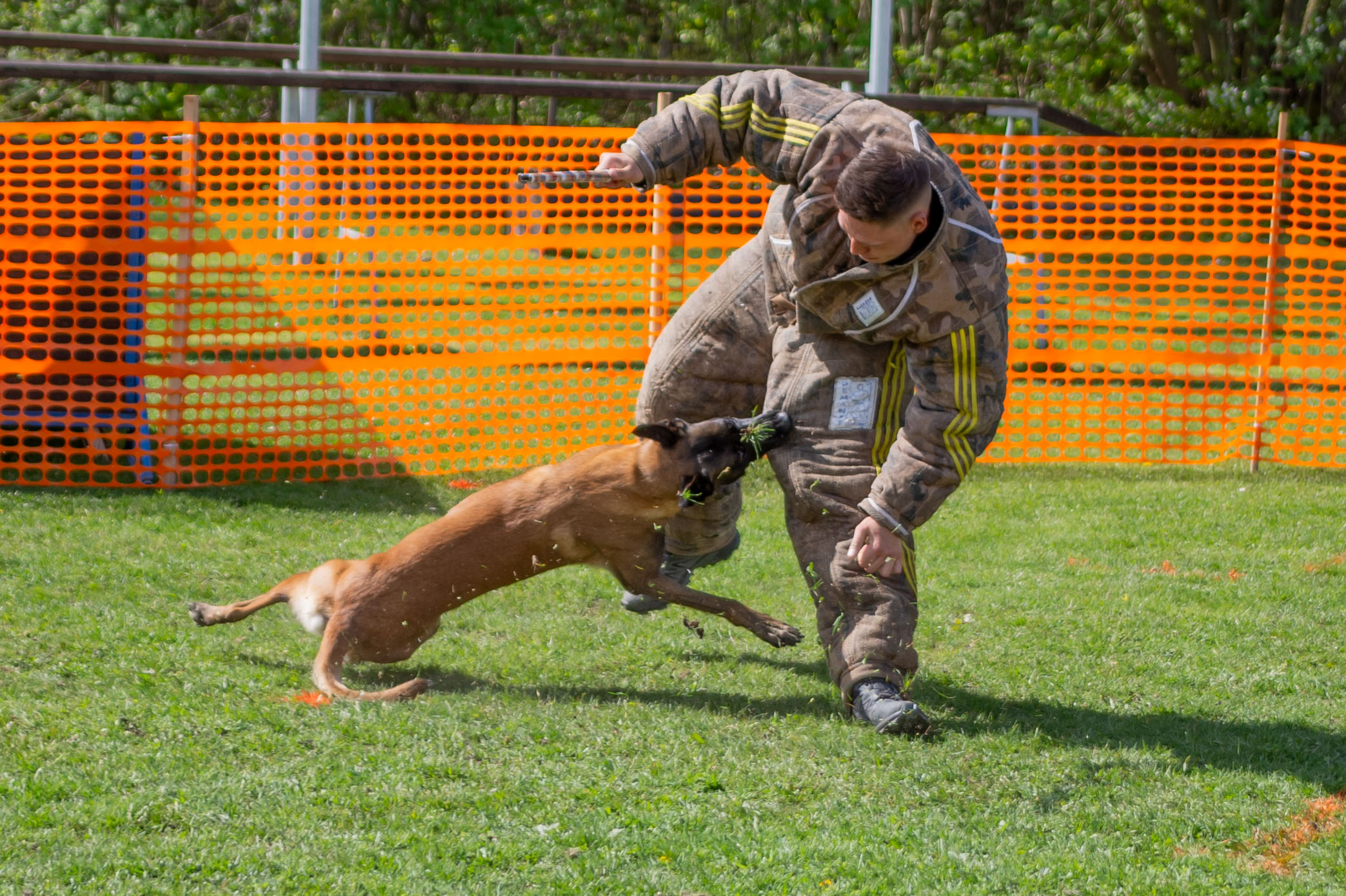 Klub sportovní kynologie Vítkov-Klokočov