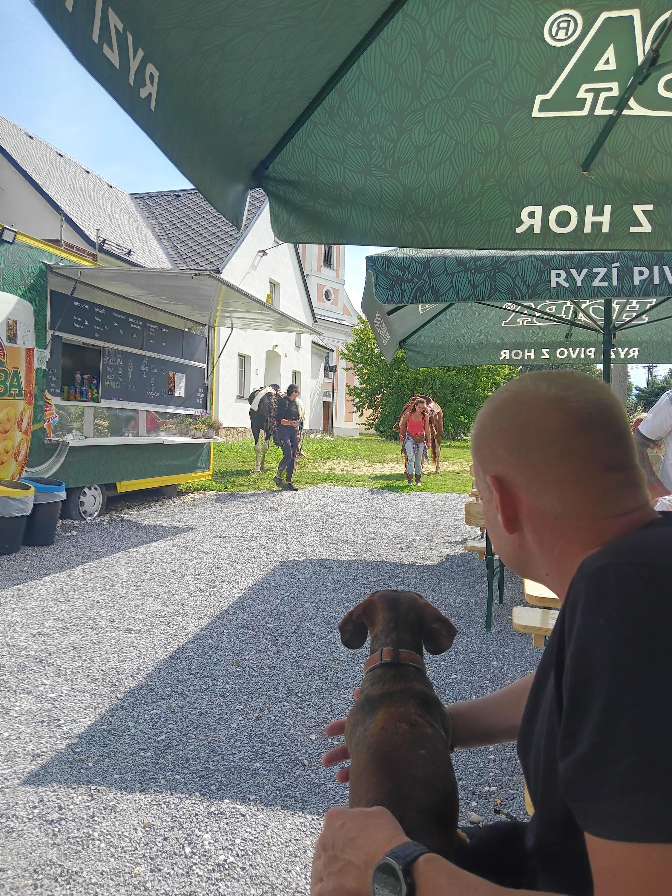 Občerstvení u Wilkesu foto 4
