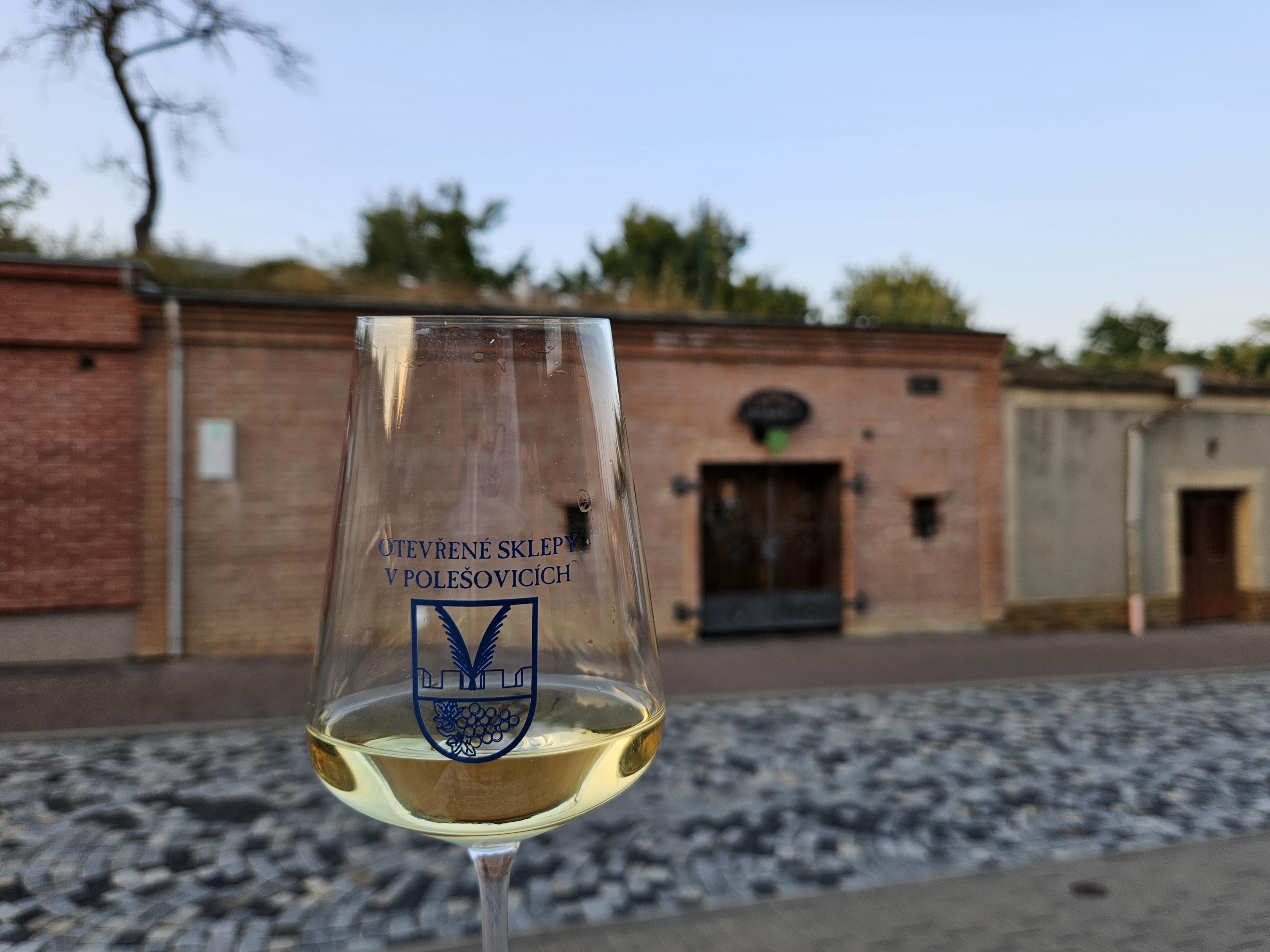 Vinařství Vaďura Polešovice foto 4