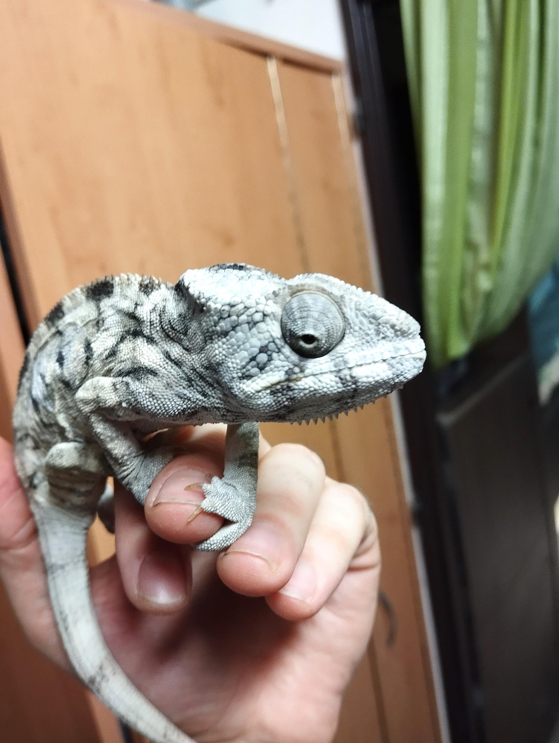 Dům dětí a mládeže, Přírodovědné centrum foto 5