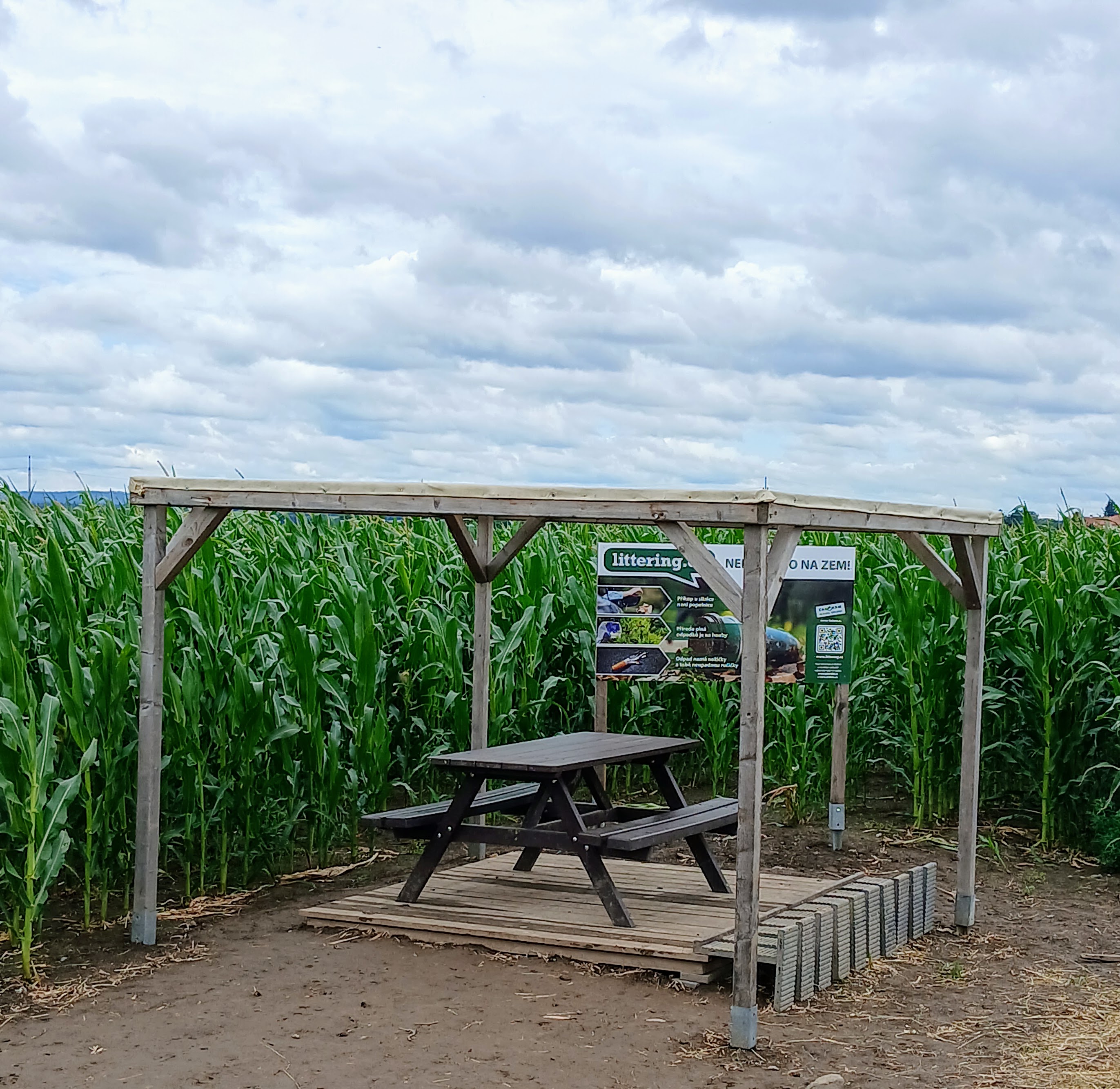 Kukuřičáci – Obří kukuřičné bludiště Opava foto 6
