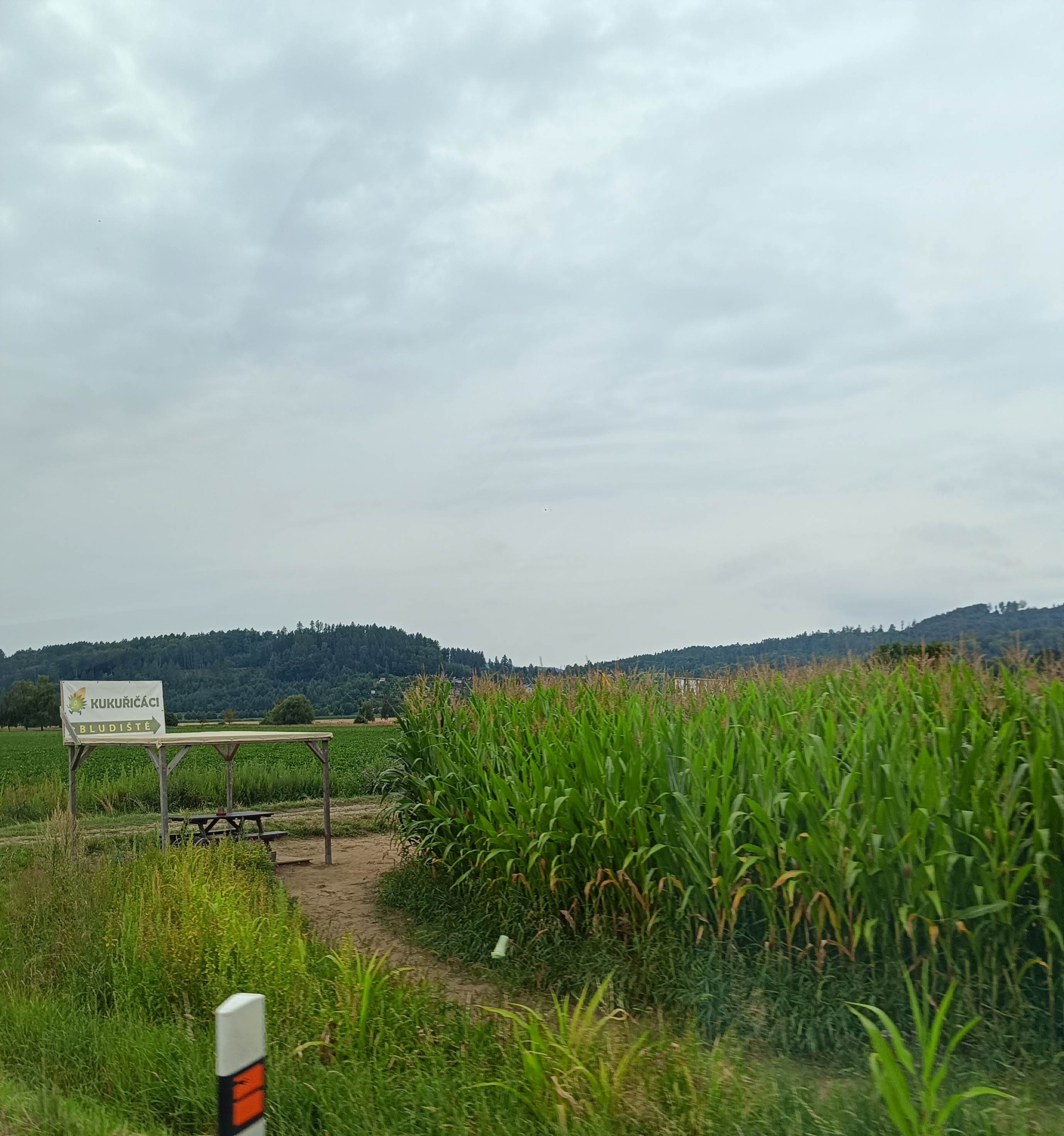 Kukuřičáci – Obří kukuřičné bludiště Šumperk - Rapotín foto 5