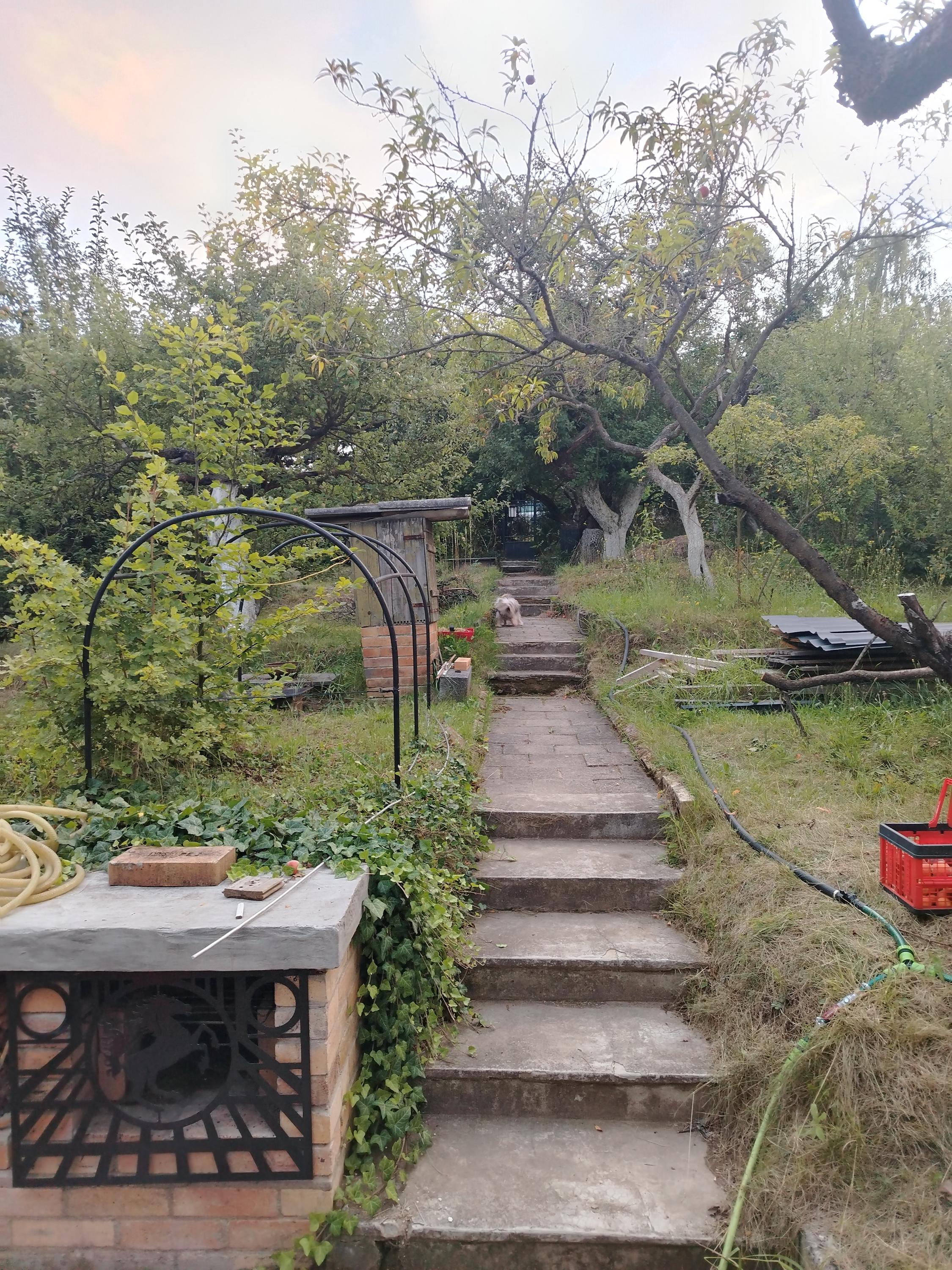 Jelenina chata foto 6