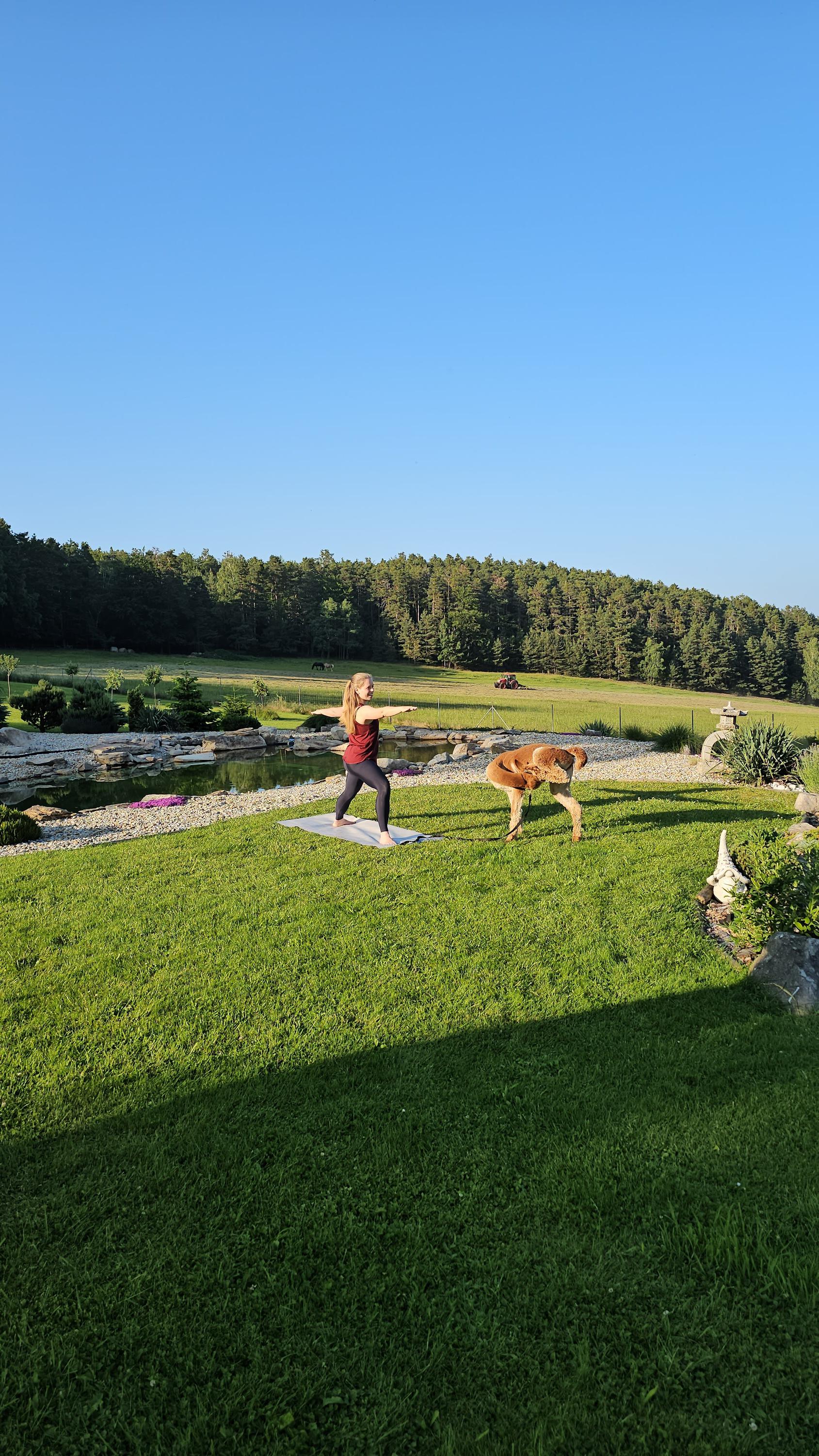 Alpaka farma Na Vyhlídce foto 5