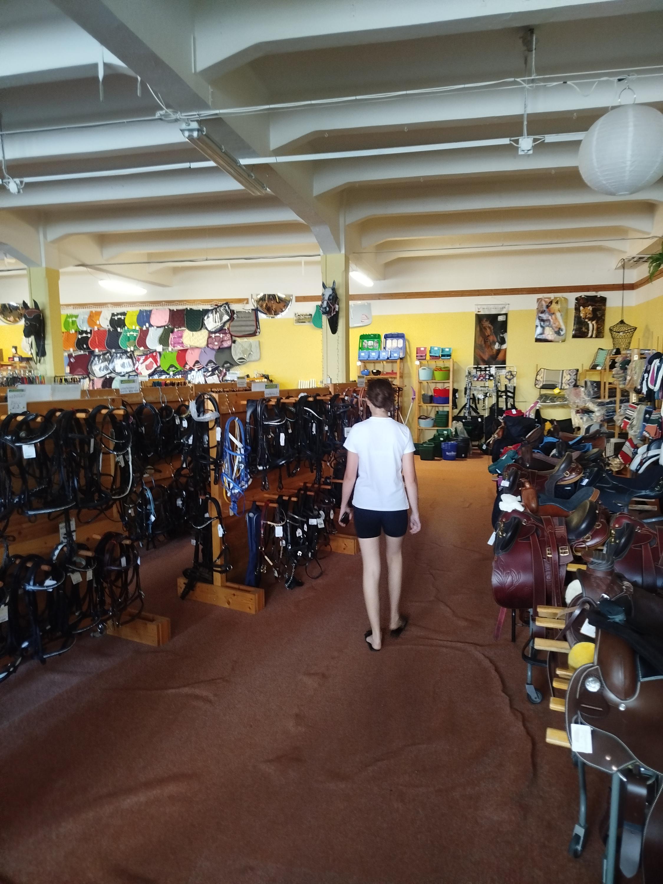 Jezdecké potřeby ZOOPRODUKT - Ešpandr foto 6