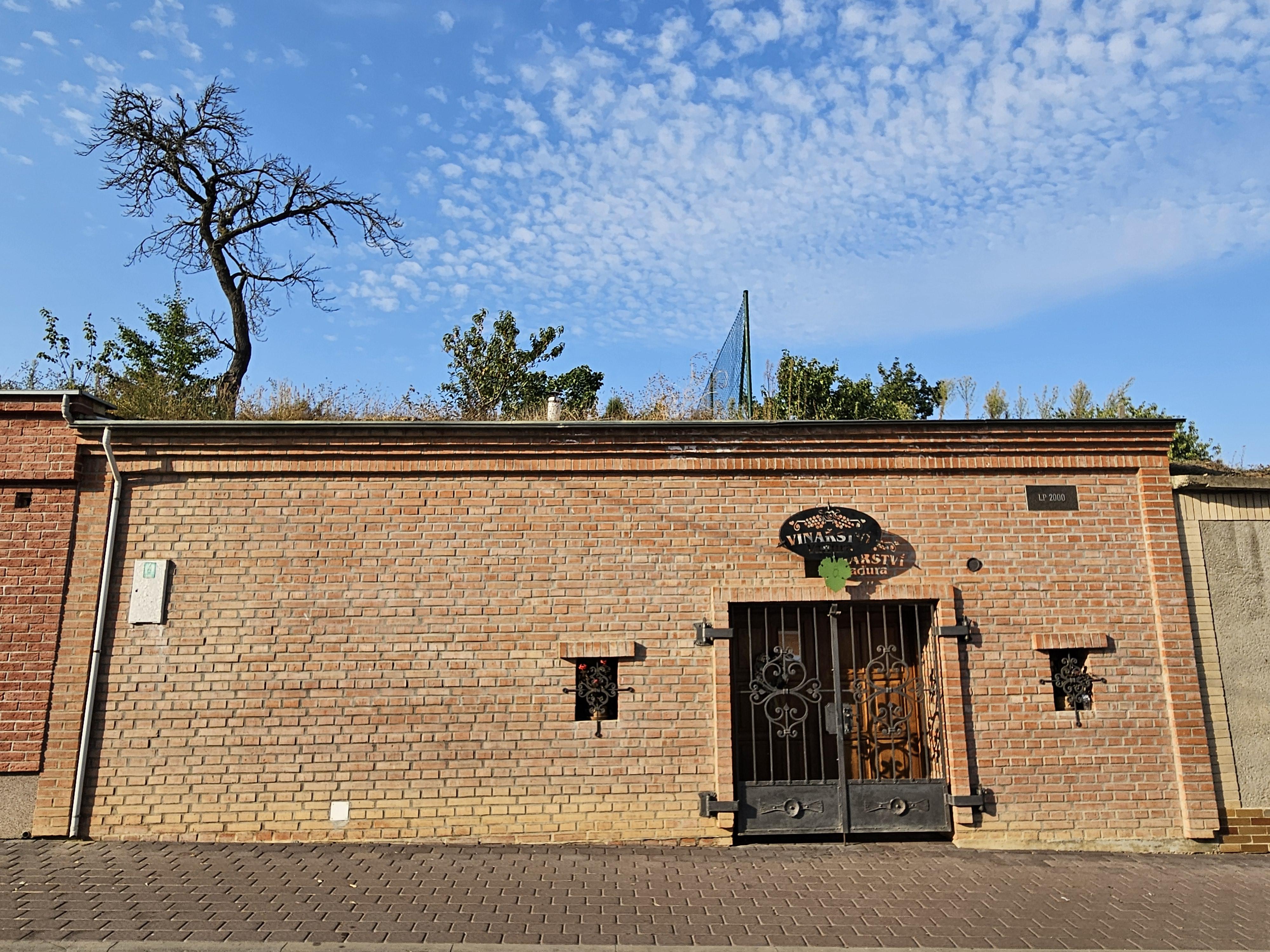 Vinařství Vaďura Polešovice foto 5