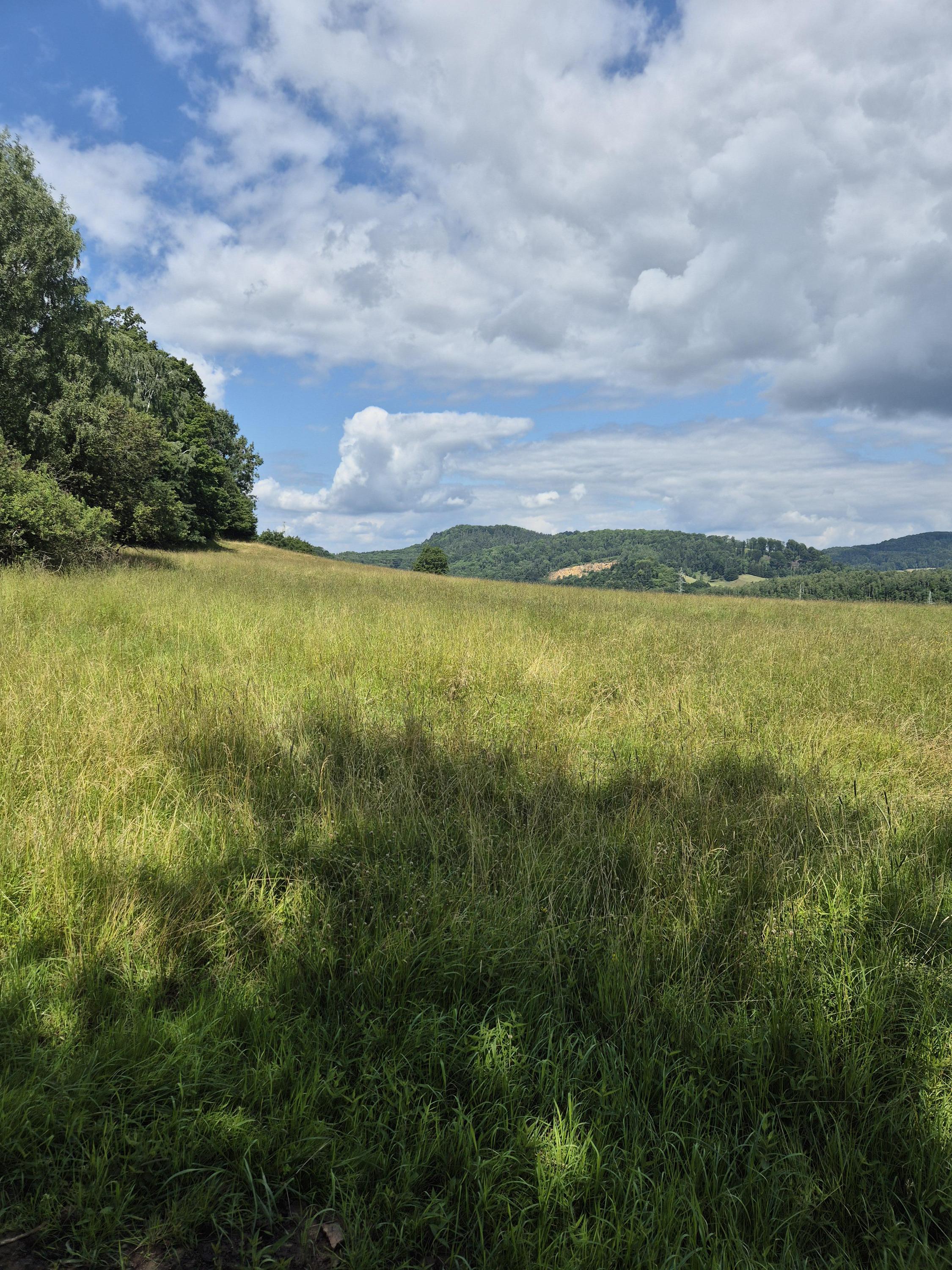 Pískovna Česká Kamenice foto 2