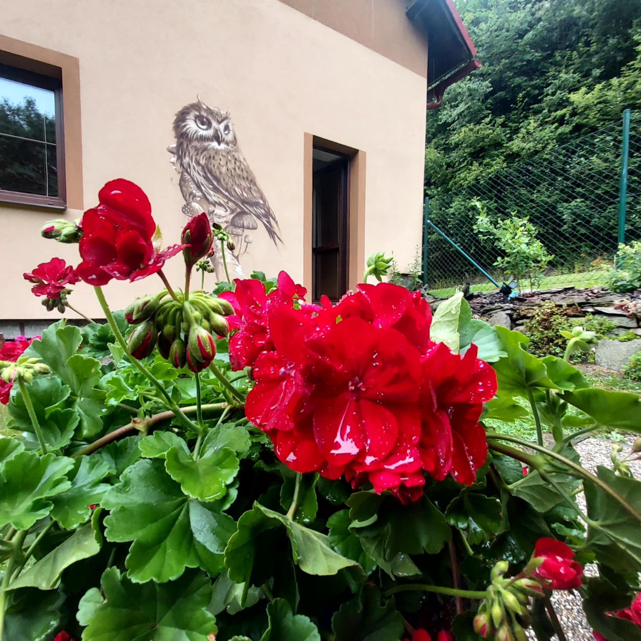 Chalupa Soví vrch foto 2