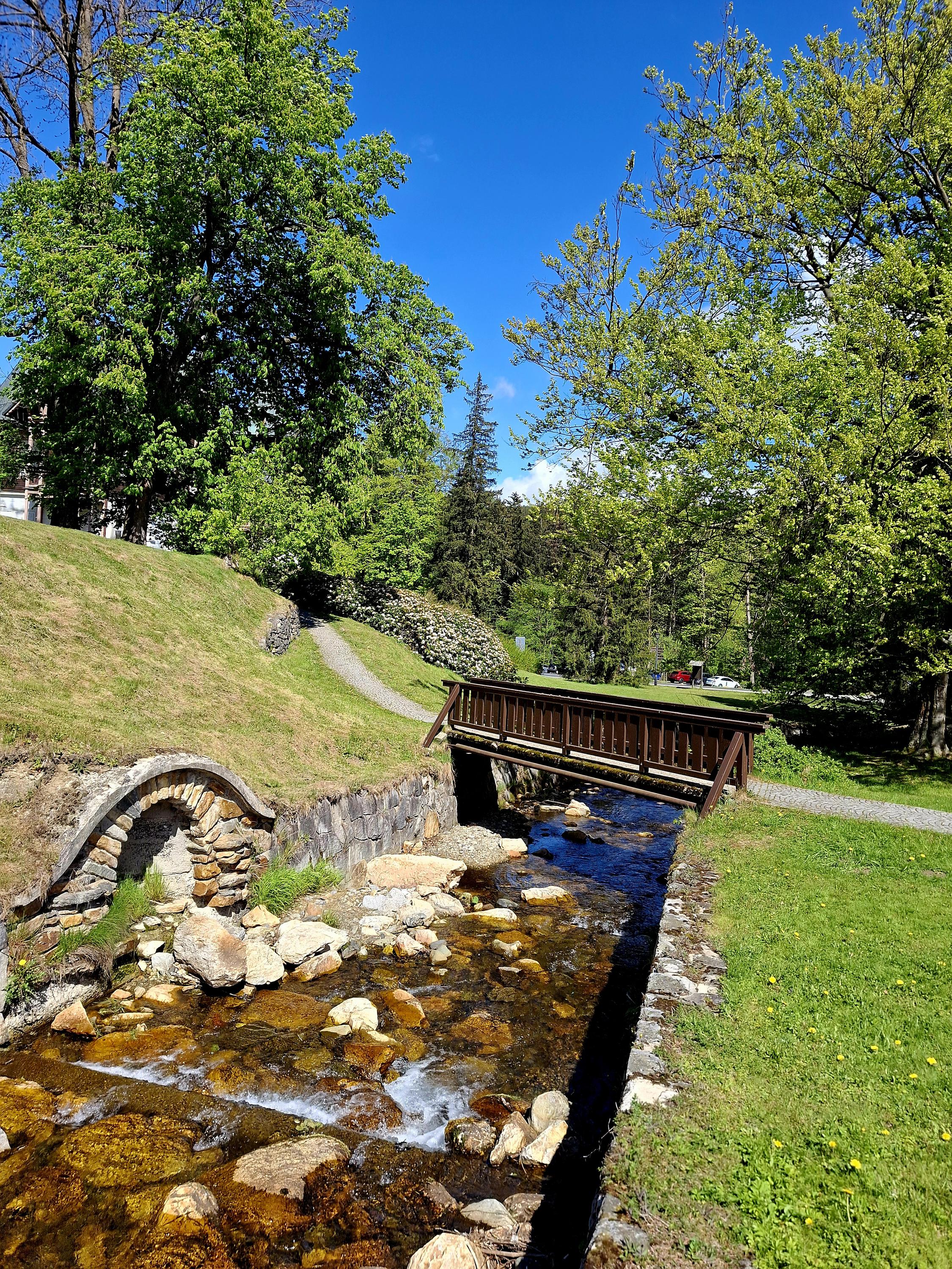 Půjčovna elektrokol Karlova Studánka foto 3